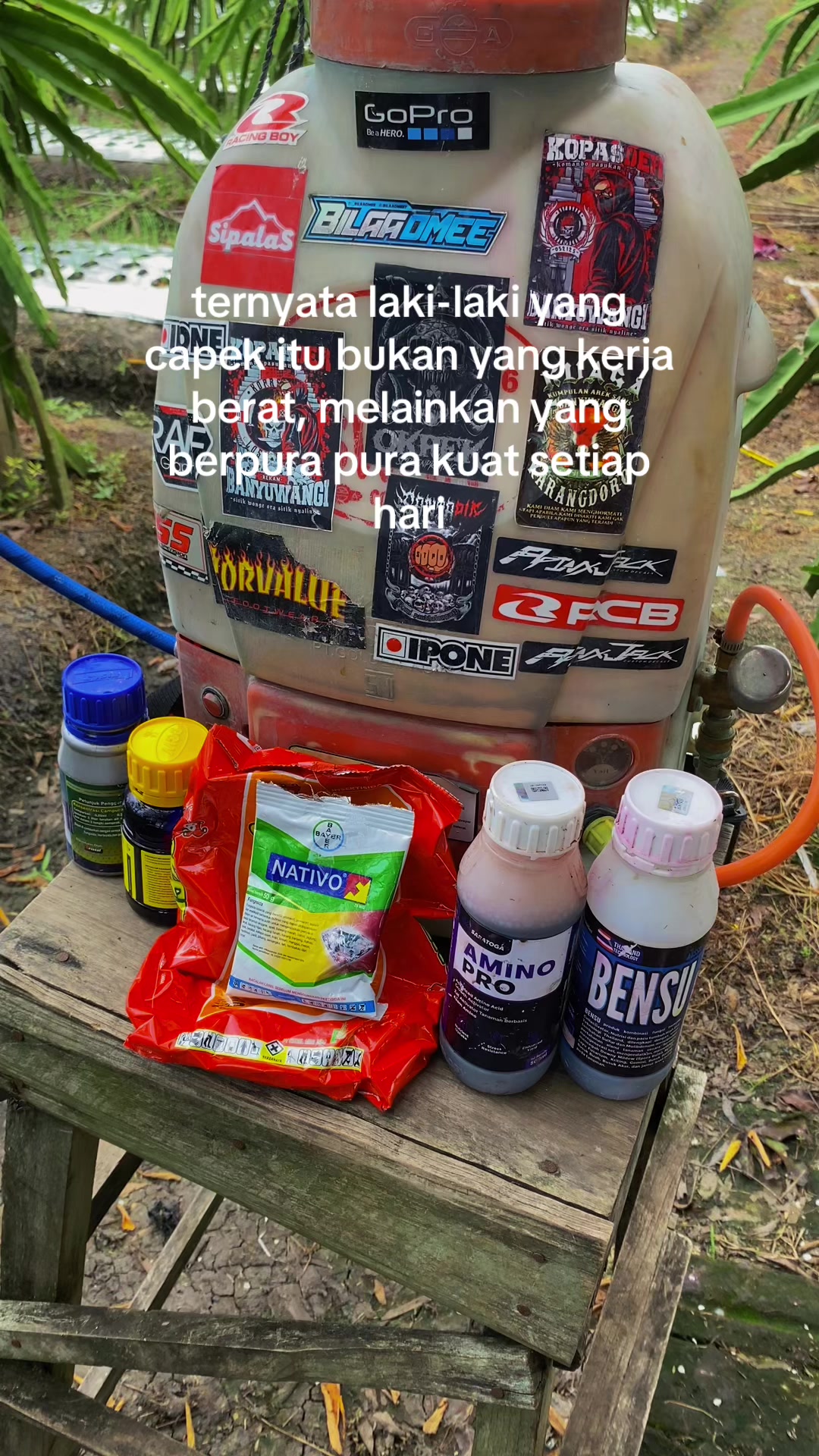 @erfn