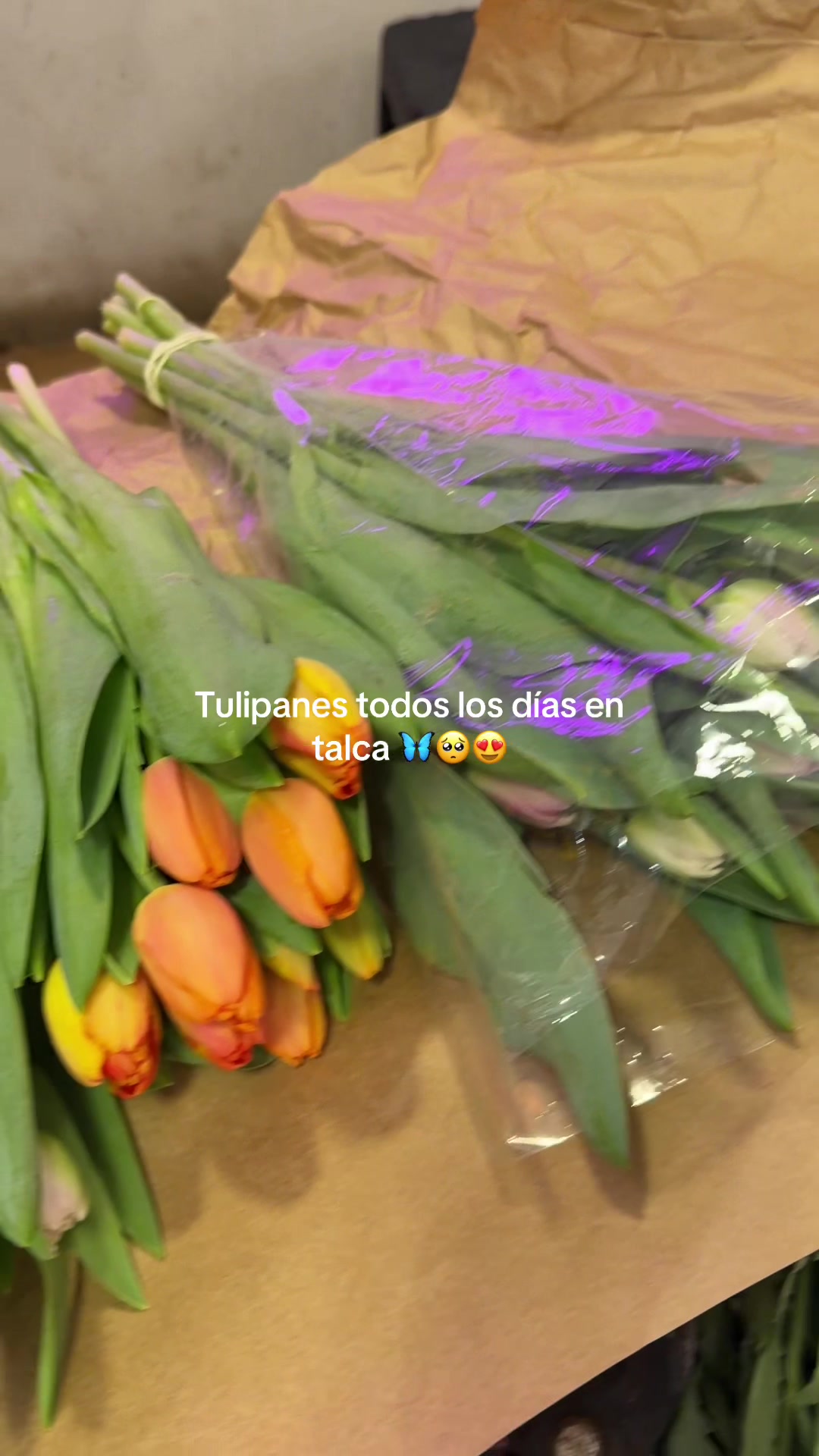 @Floreriantzabarreto