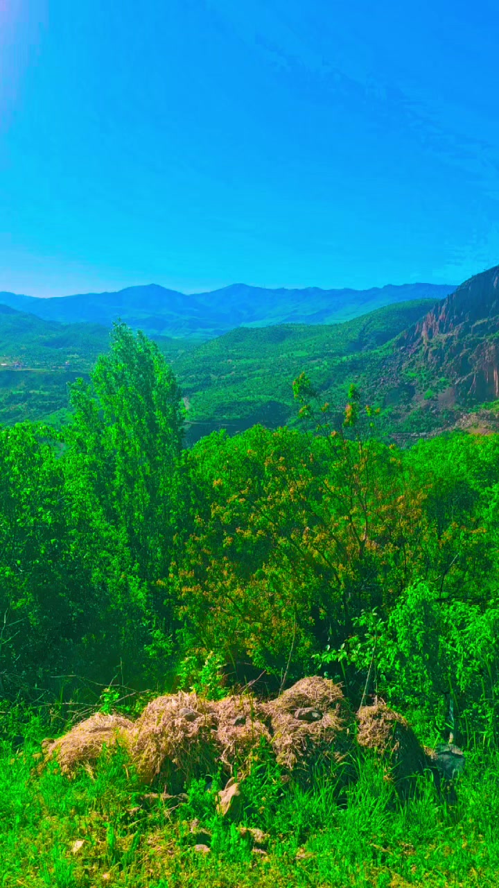 @Şahabettin