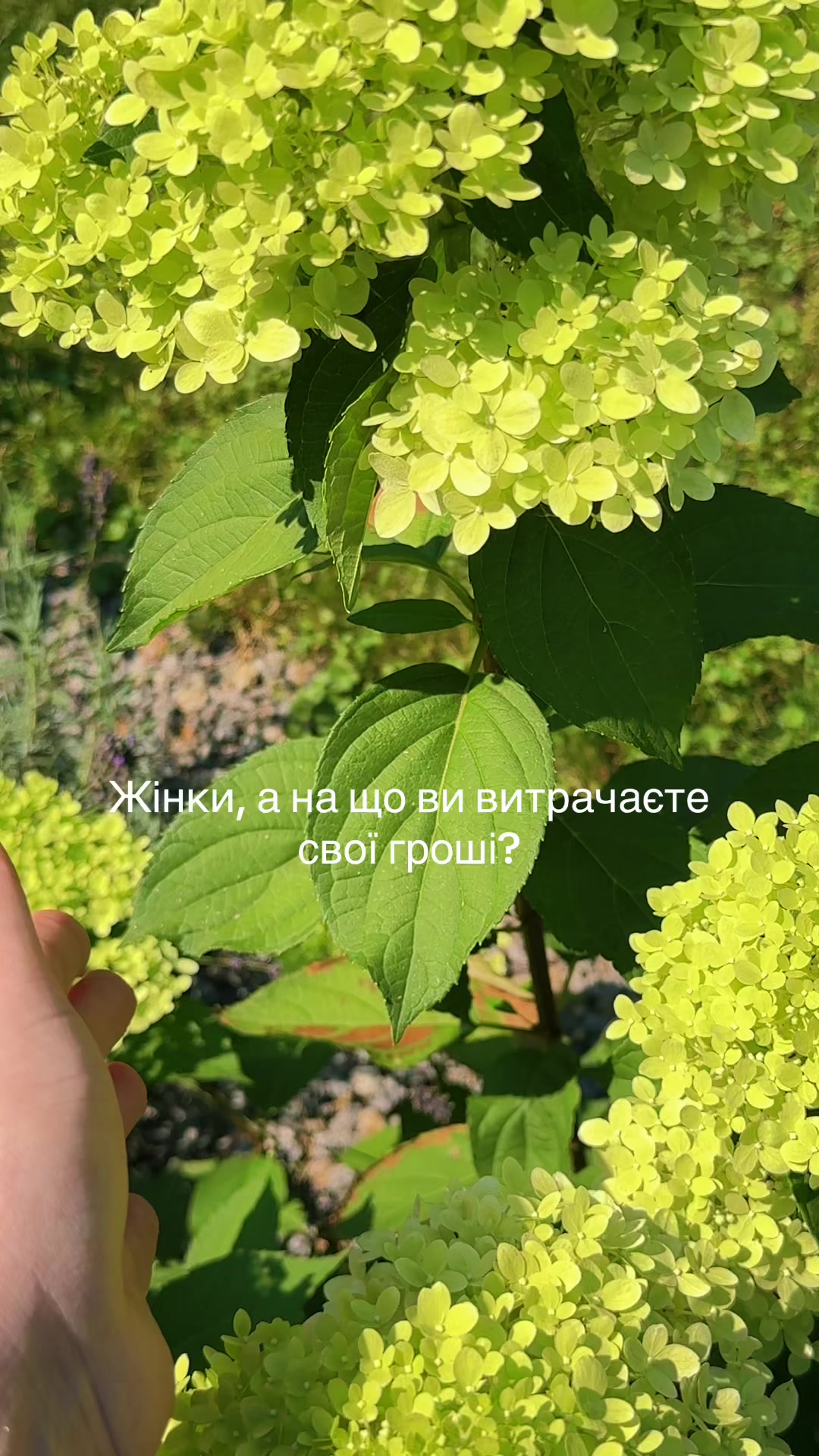 @🍒 𝓘𝓿𝓪𝓷𝓽𝓼𝓸𝓿𝓪 ♡🍒