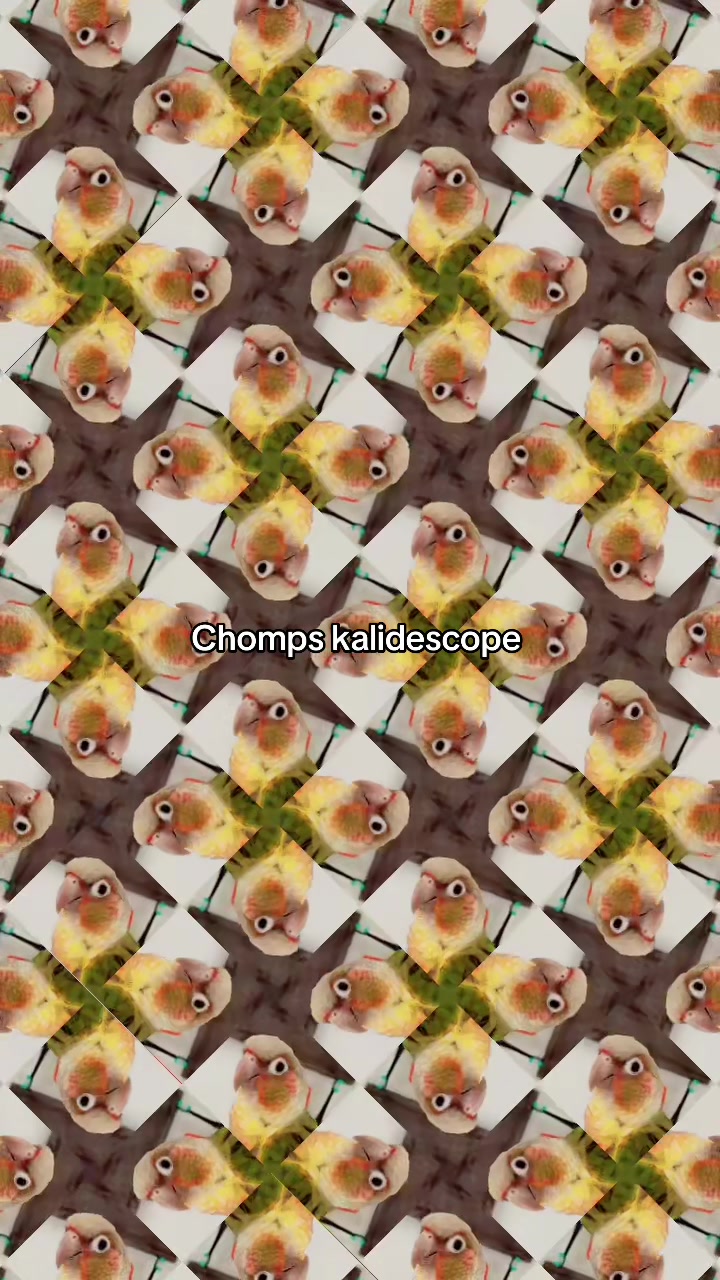@Chomps & Fam