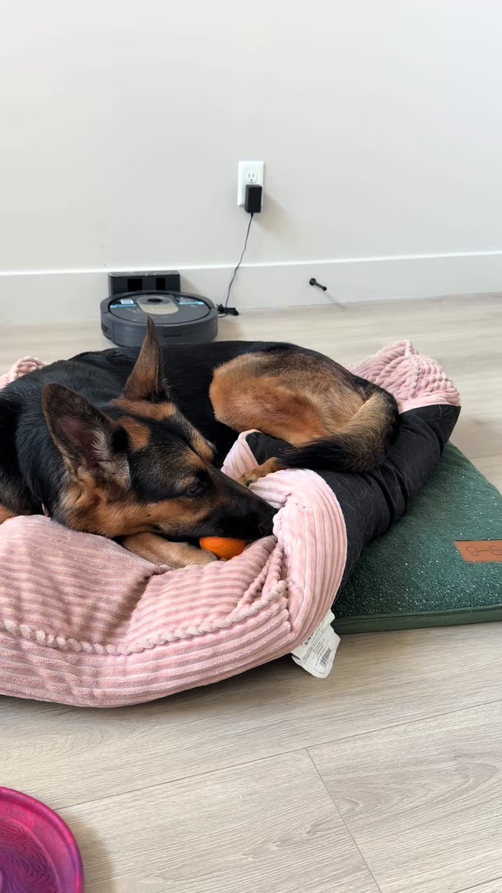 @Rory The Not-Working GSD