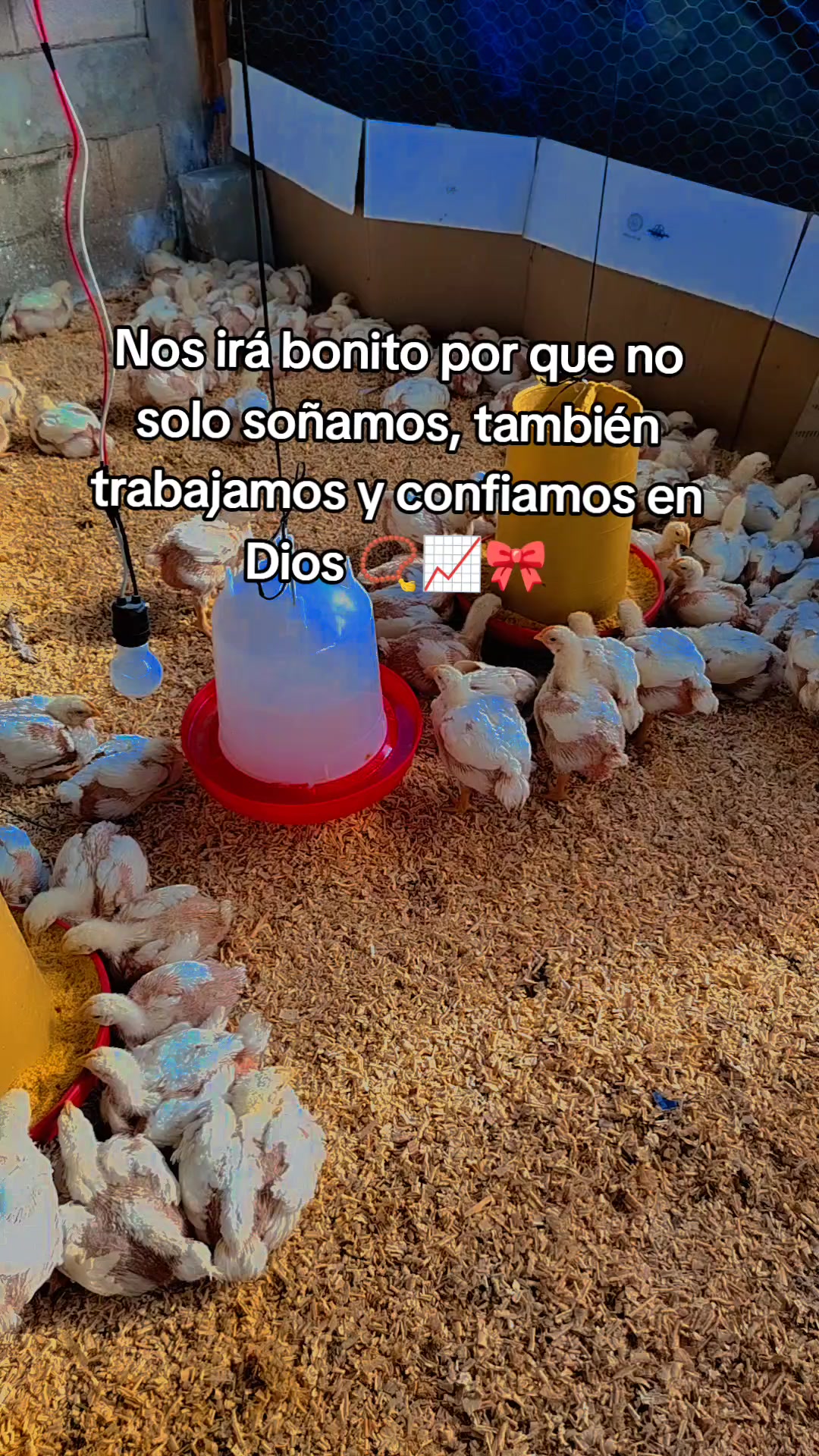 @ElyAlonzo