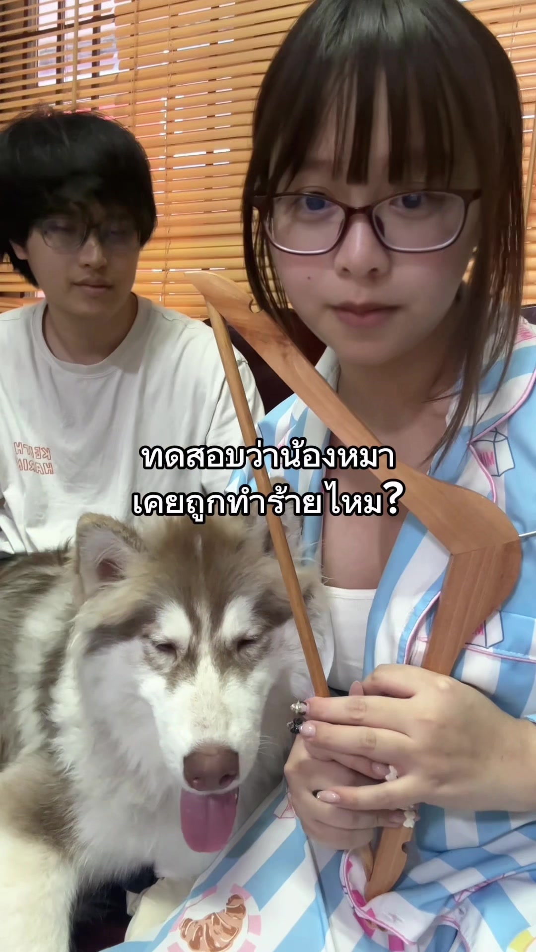 @คุณหนูบ้านเรมุ | Remu Pups 🐼