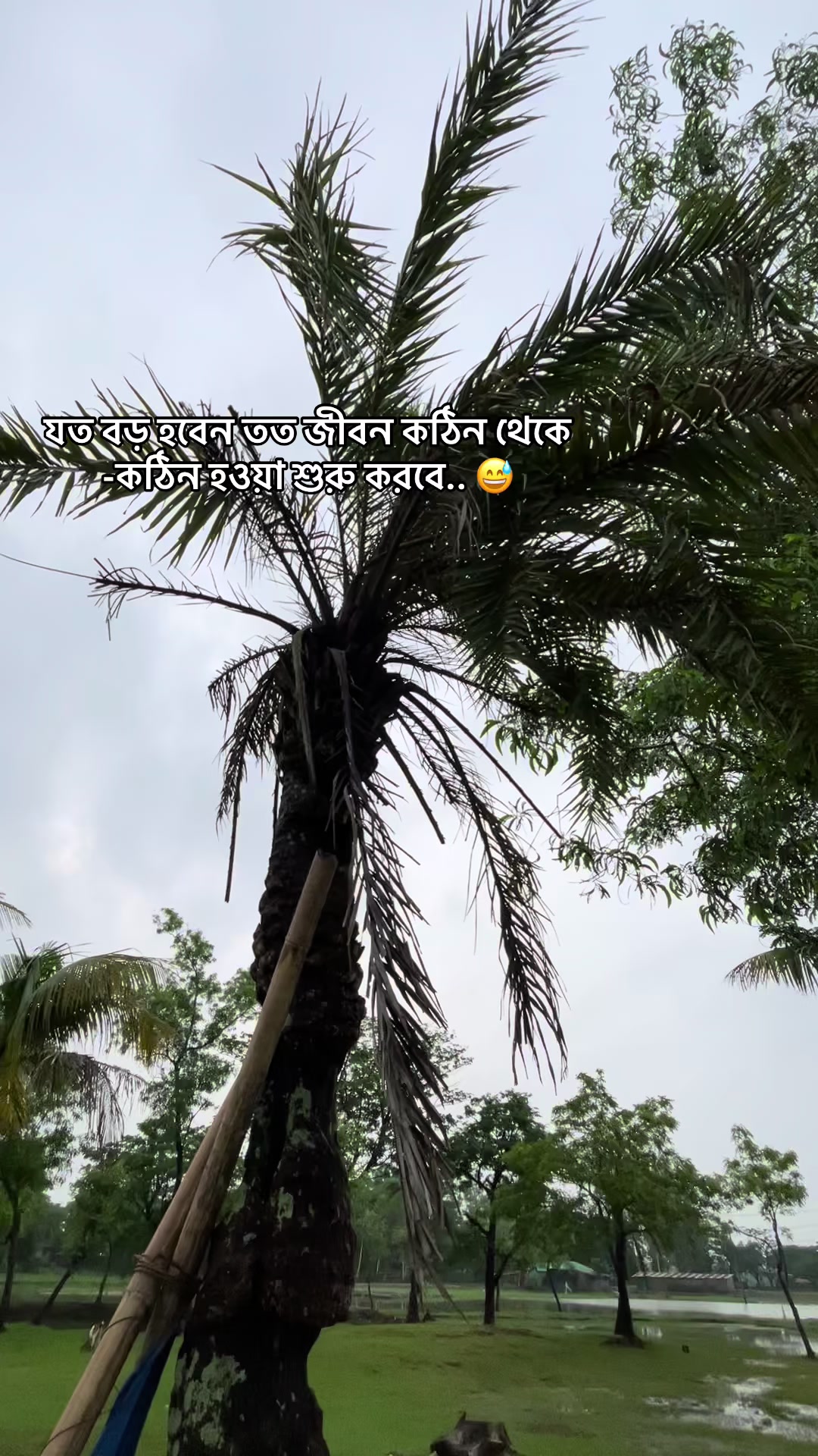 @ᰔᩚ  &hellip;  ፝֟፝֟A..メ 🕊️