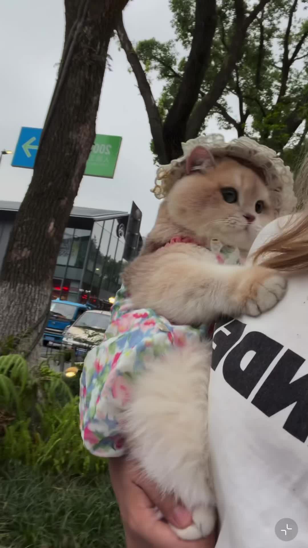 @My Daily Dose of Aww