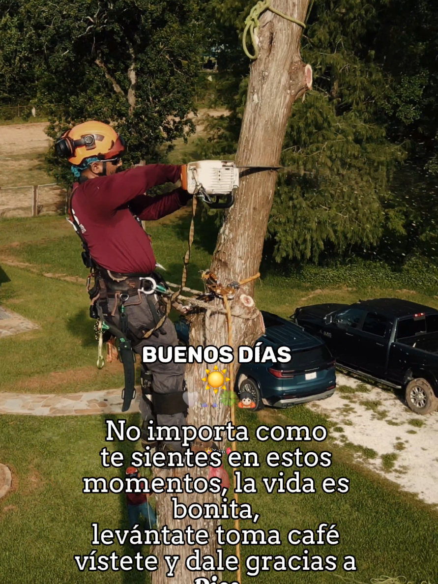 @GTS Galvan Tree Services LLC