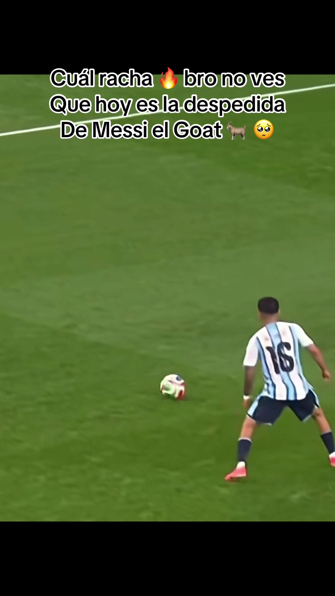 @TONY MACHADO 🐐