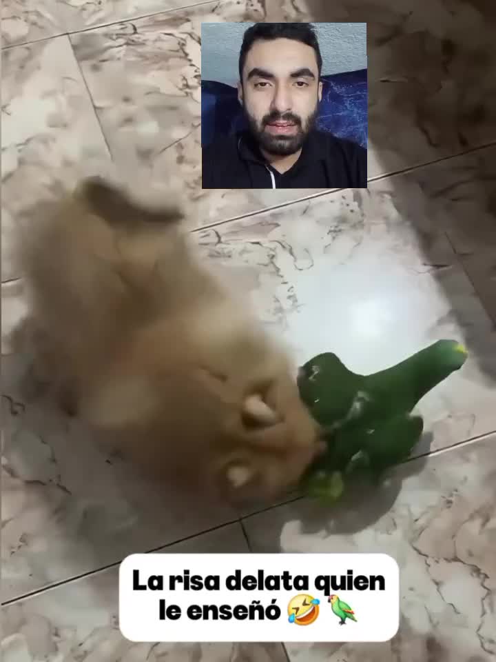 @Jorge Villasenor