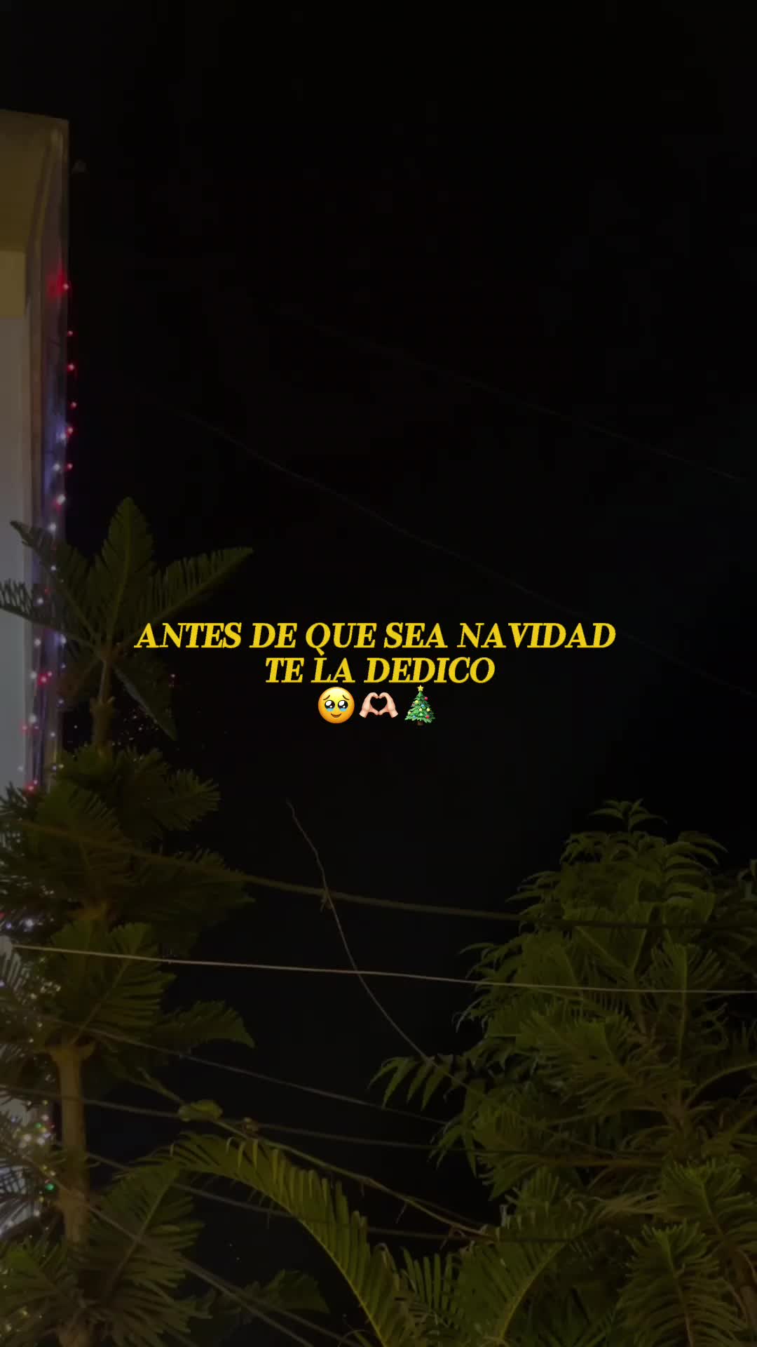 @Mauro Guzmán