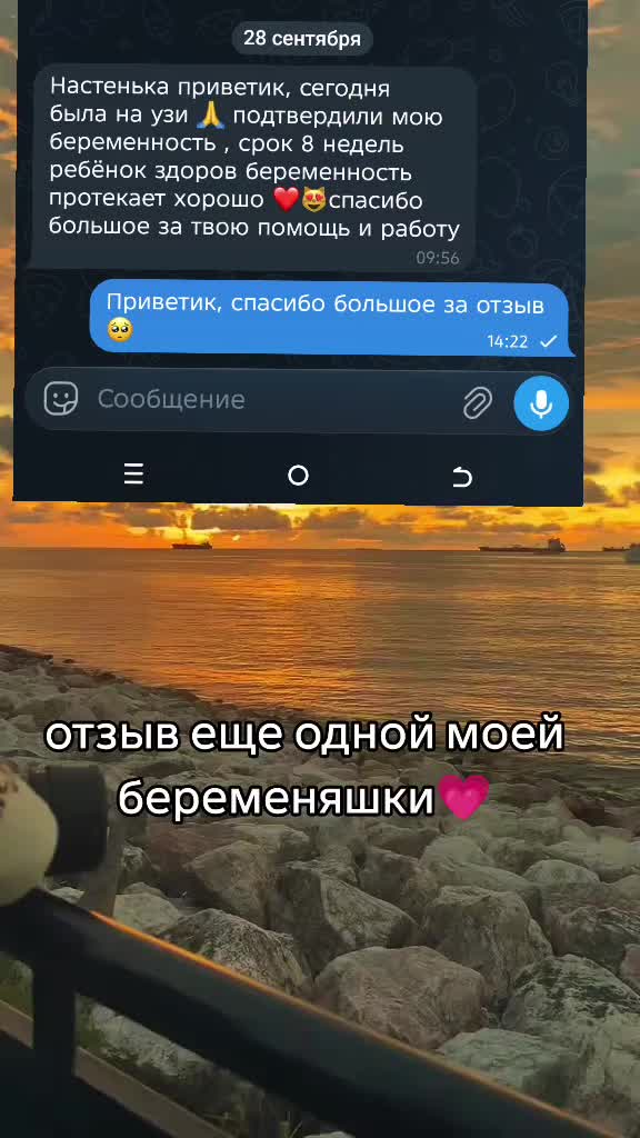 @Tarolog5467