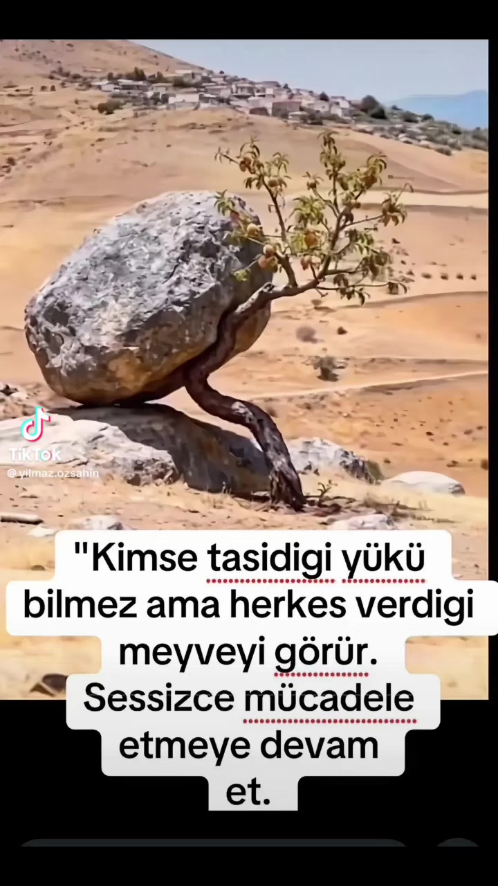 @Harun karahan
