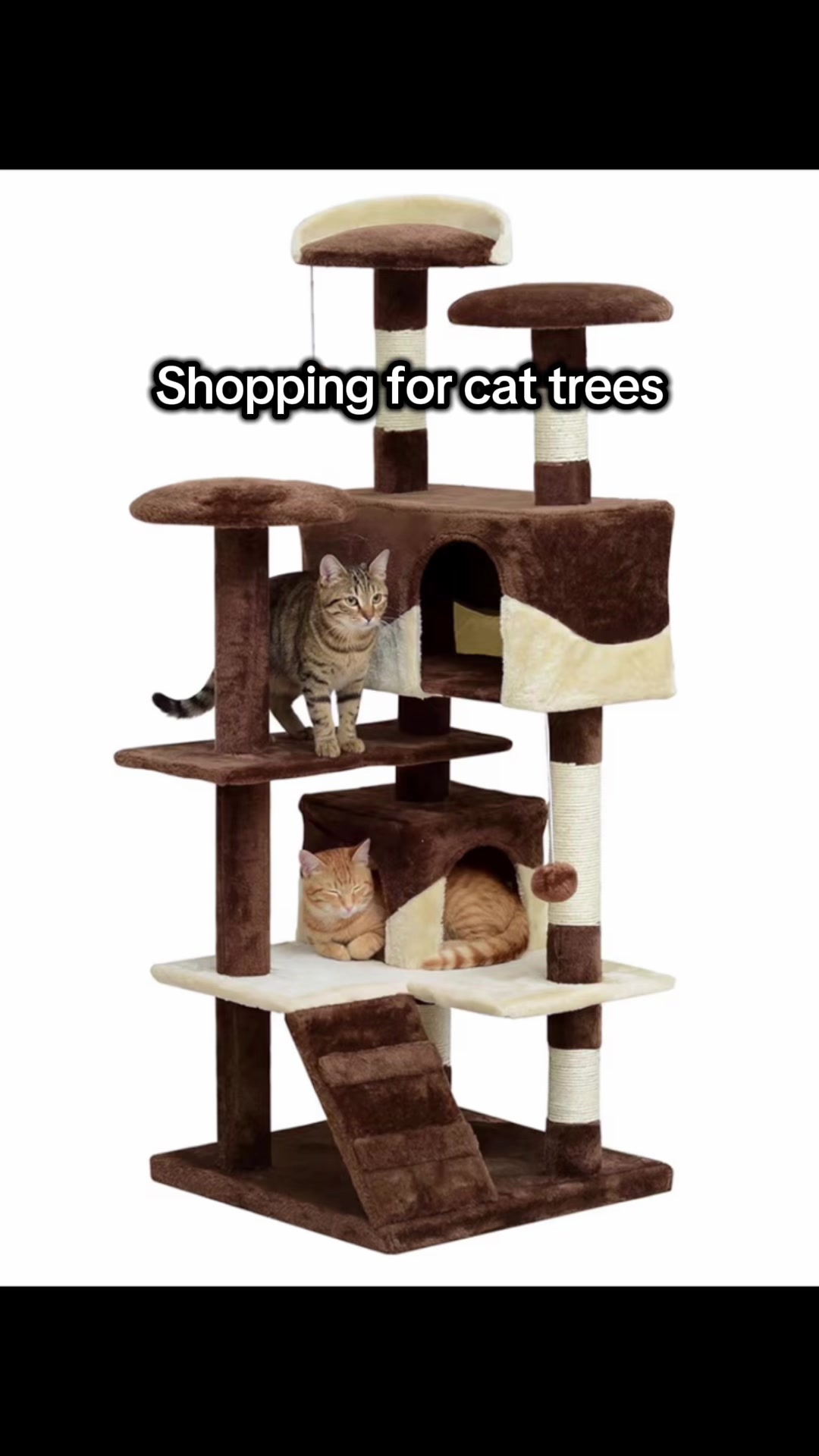 @customcatcribs