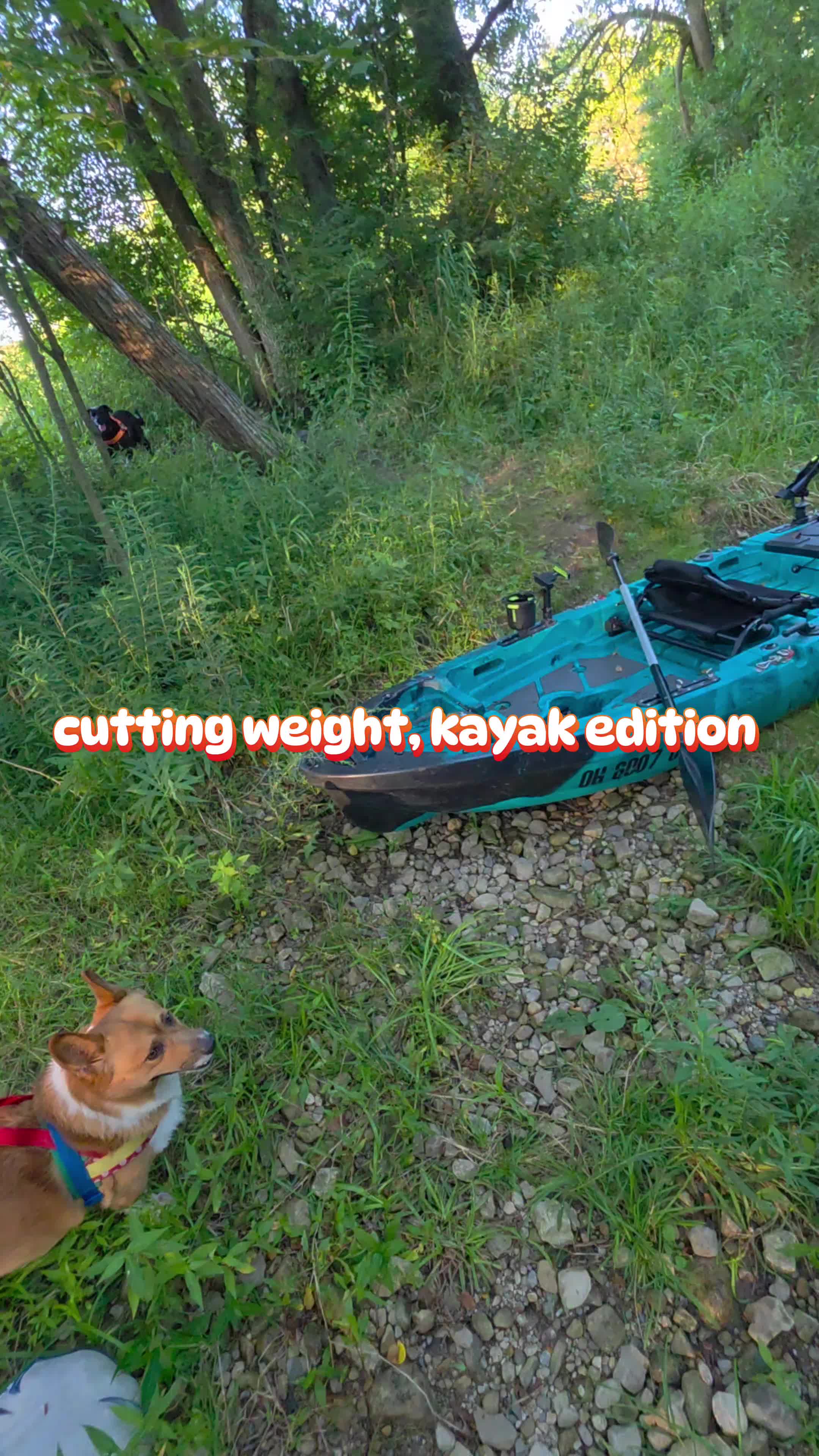 @Farmer Jake