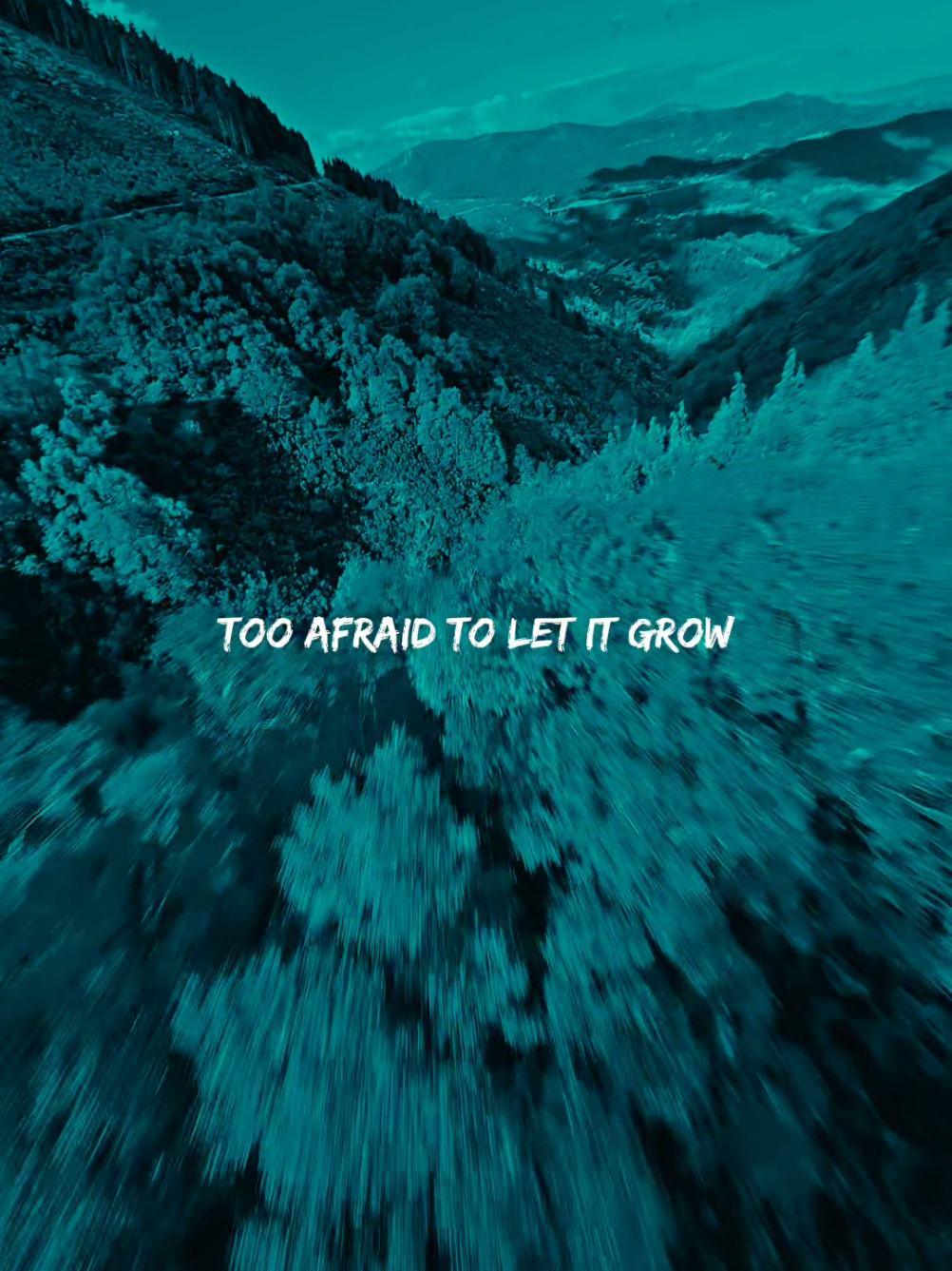 @Lyrics