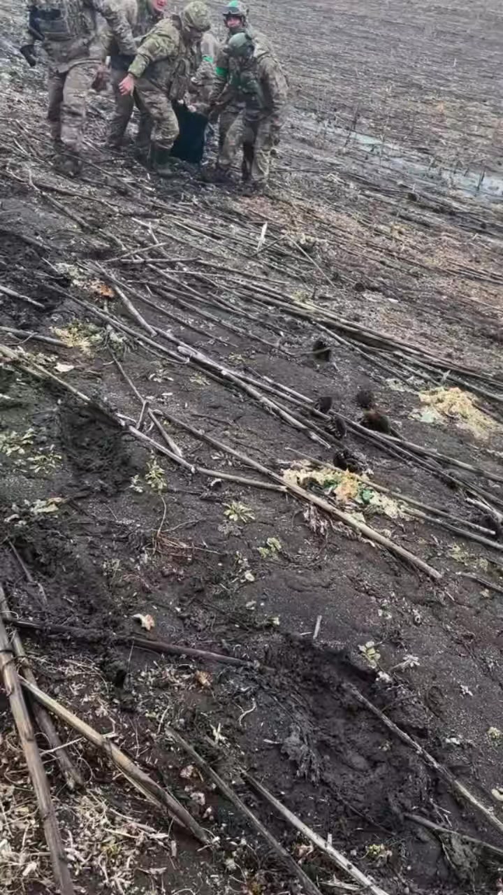 @Donbas🇺🇦