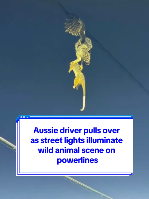 @Yahoo Australia