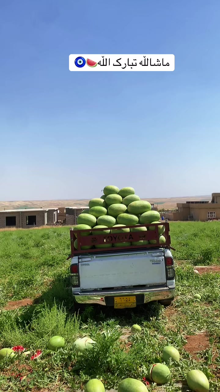 @Hama