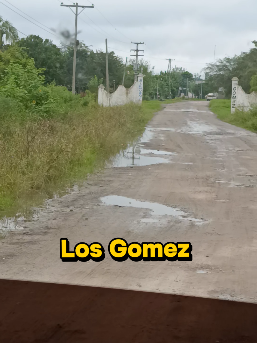 @Griselda Celeste Sos