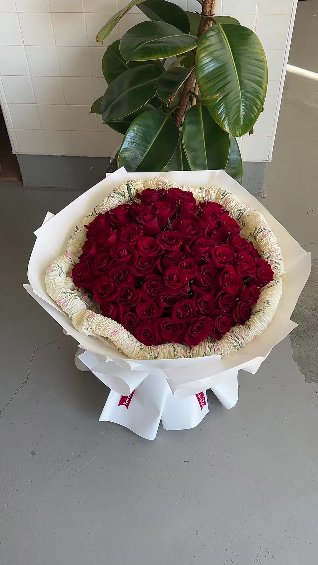 @ToleenAbila🌸