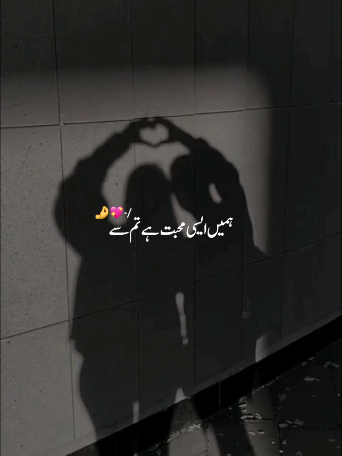 @Uᴍᴀɪʀ Vɪʙᴇs ♡