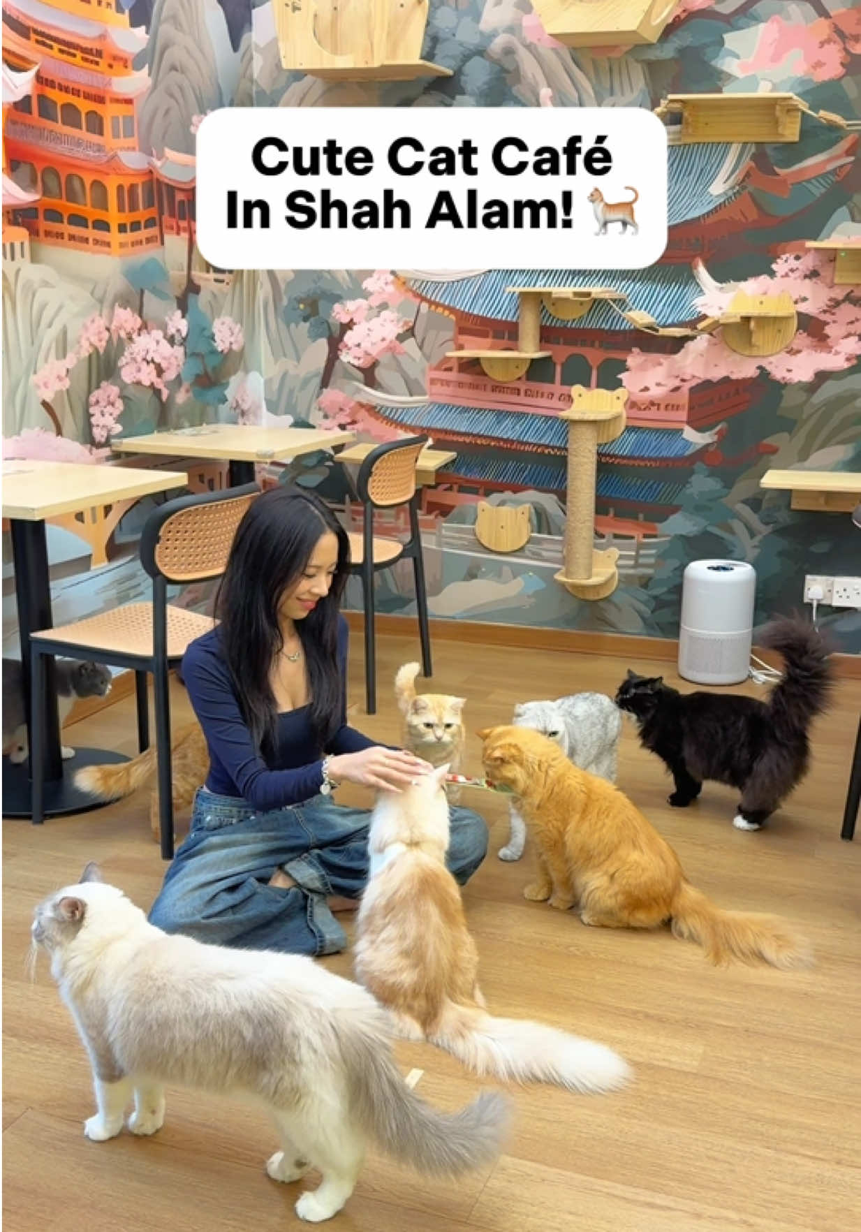 @Places Malaysia