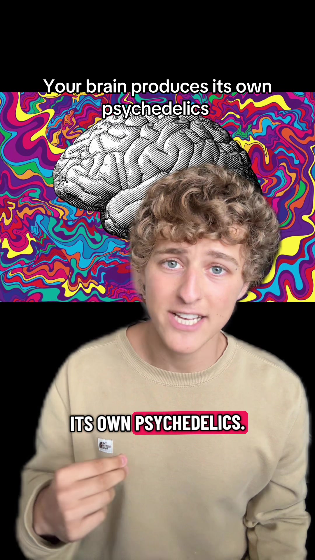 @brandonsbrainwave