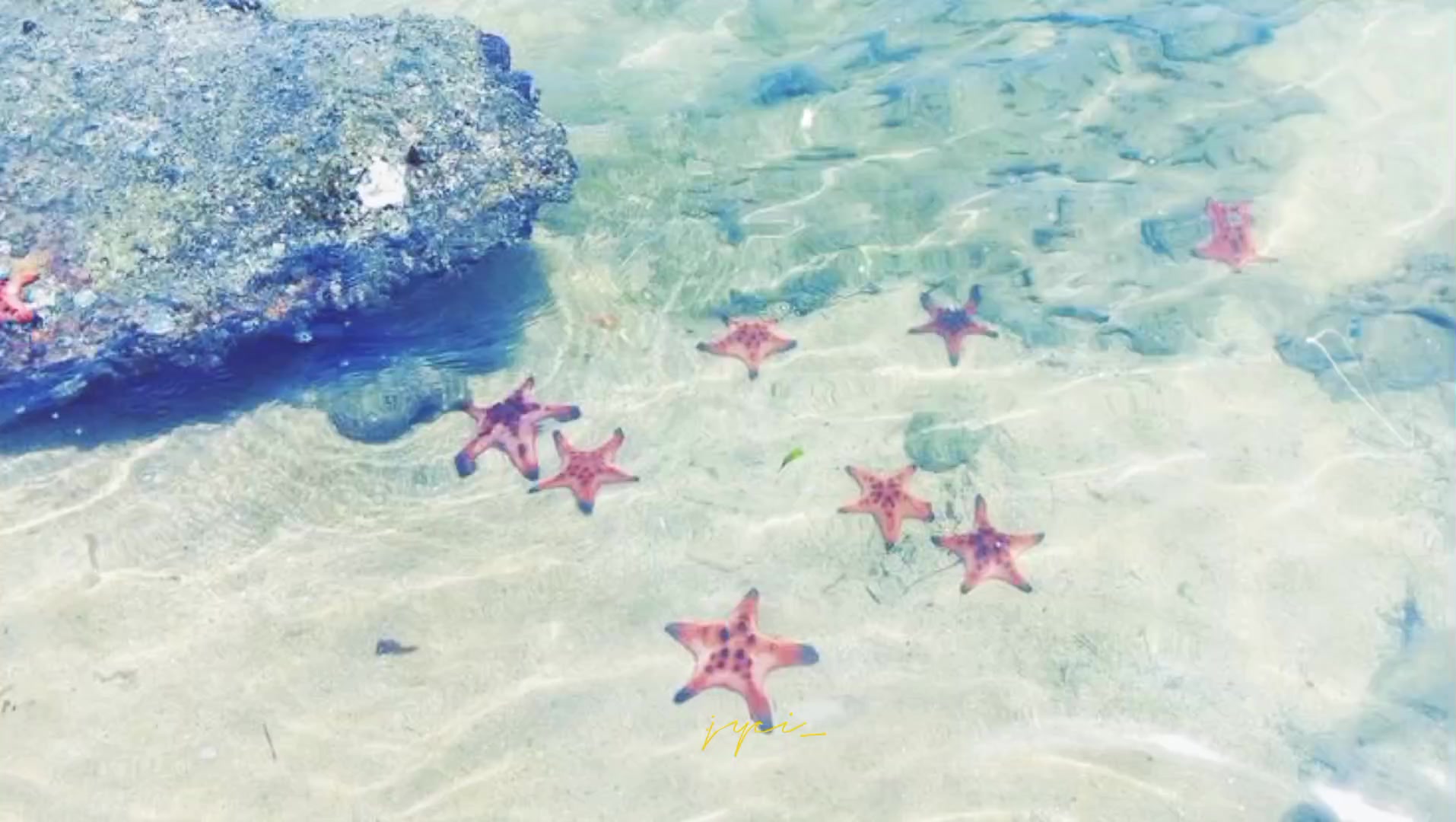 @♊