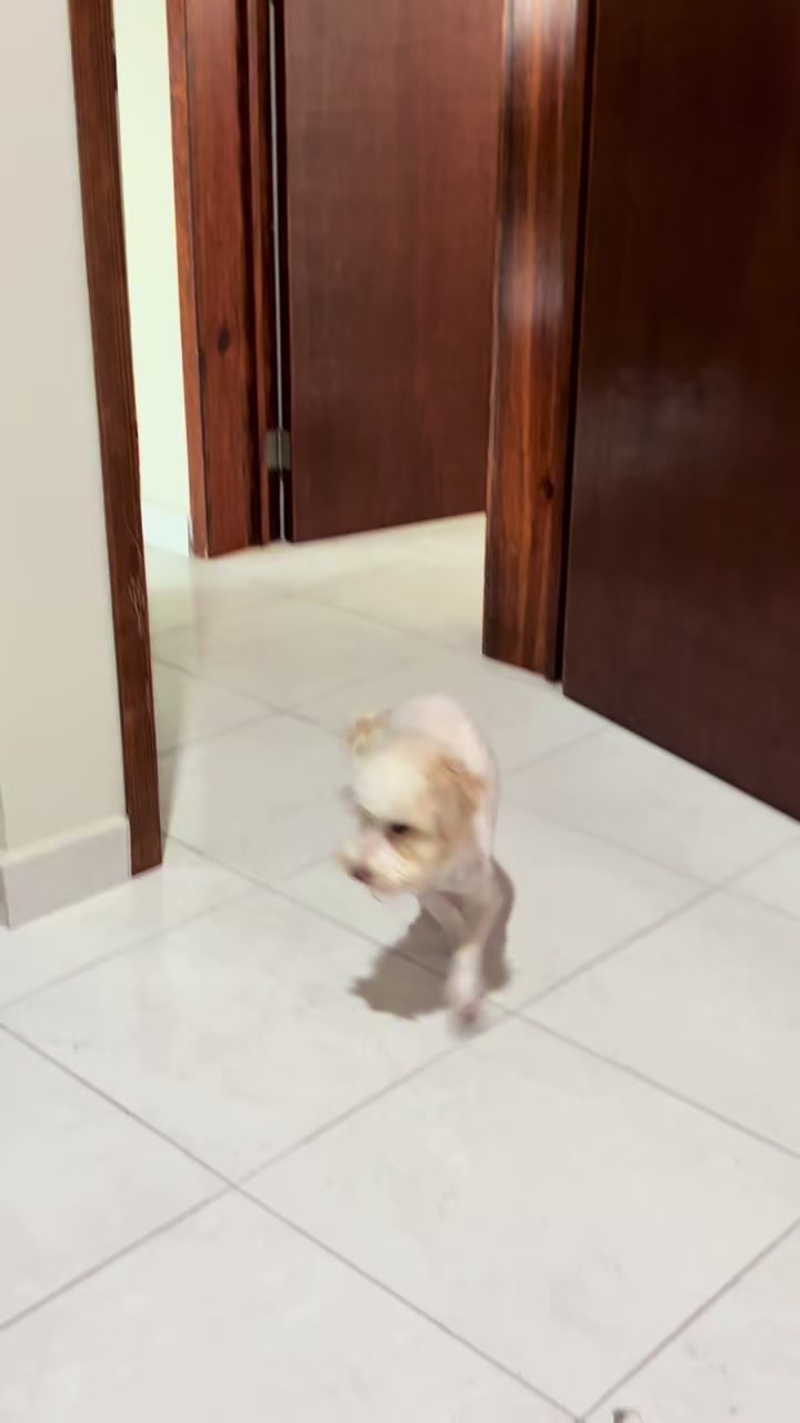 @Soy_Valencia