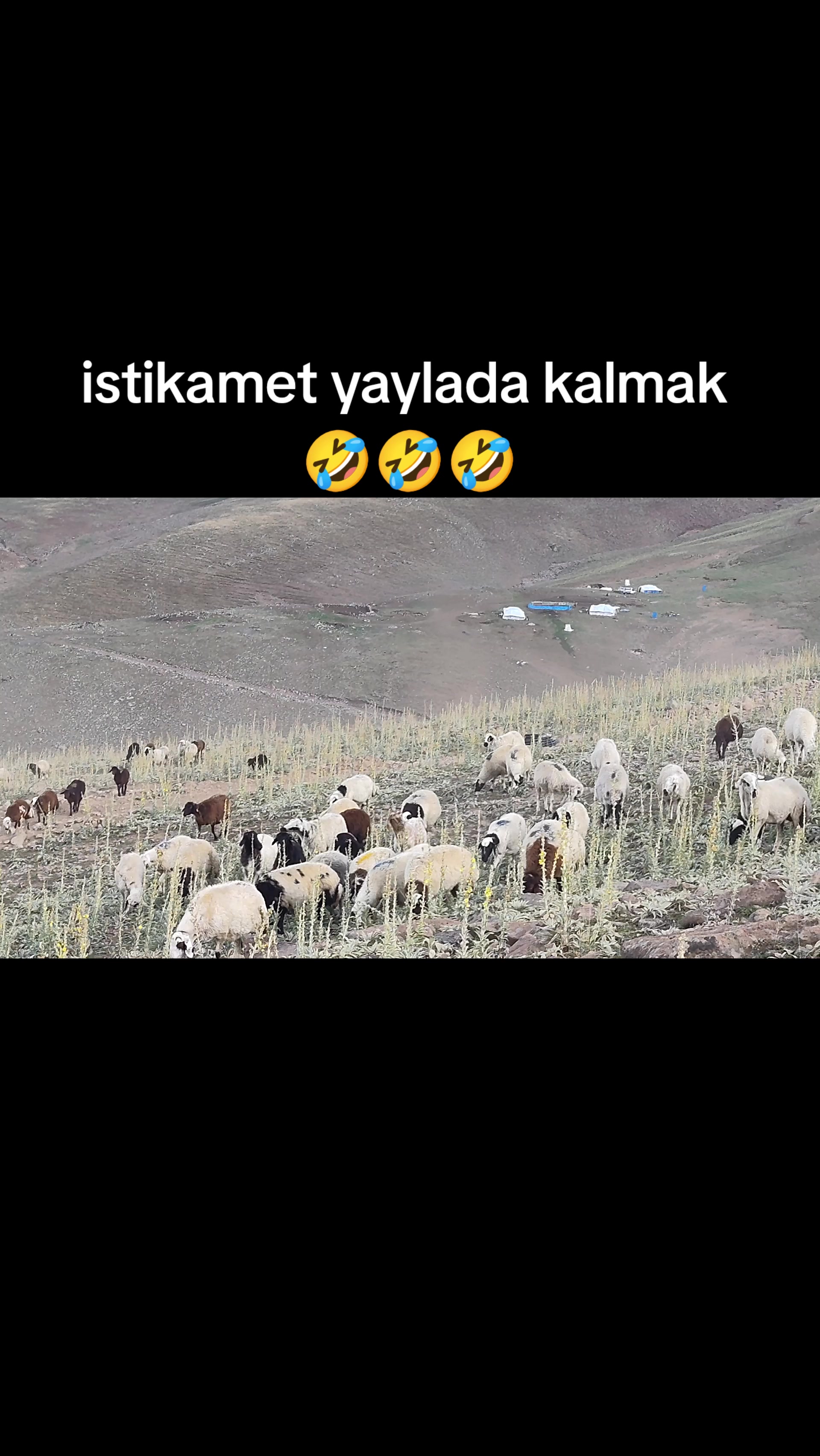 @Emrah Karapınar