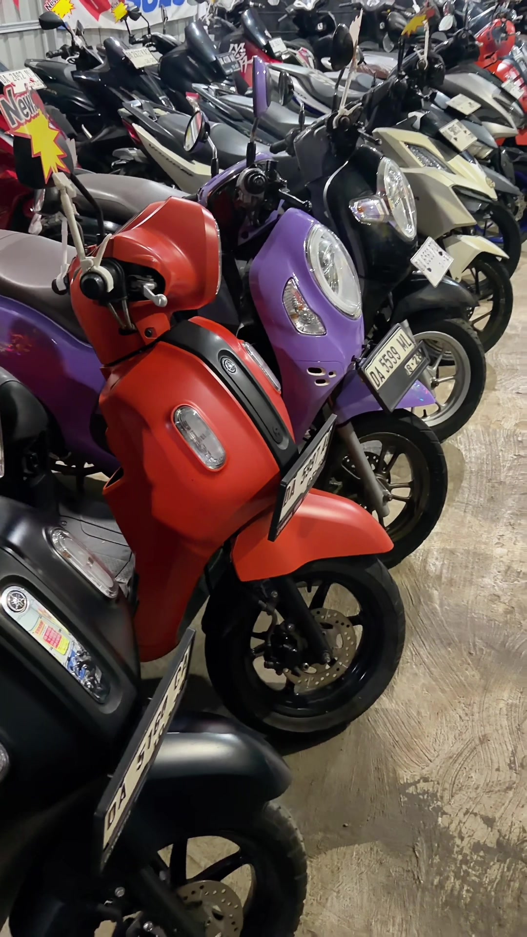 @pengepulmotortim