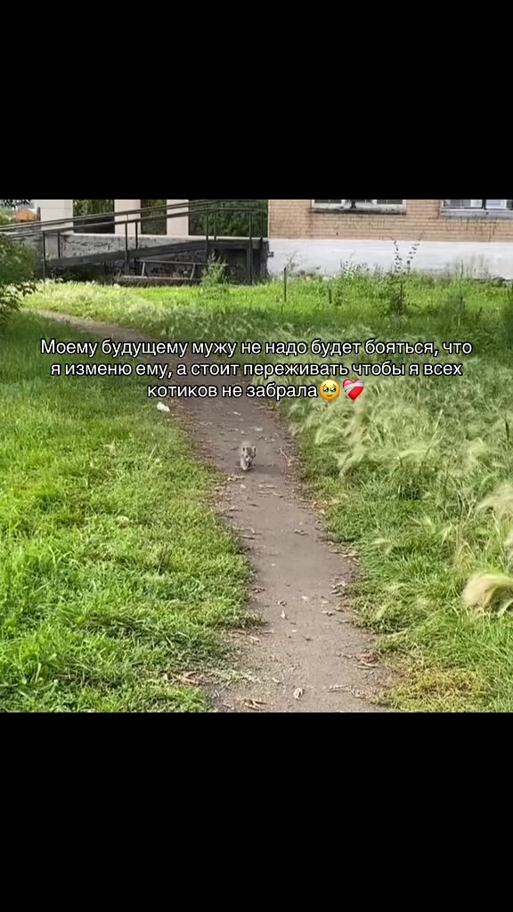 @Рузик🇵🇸❤️