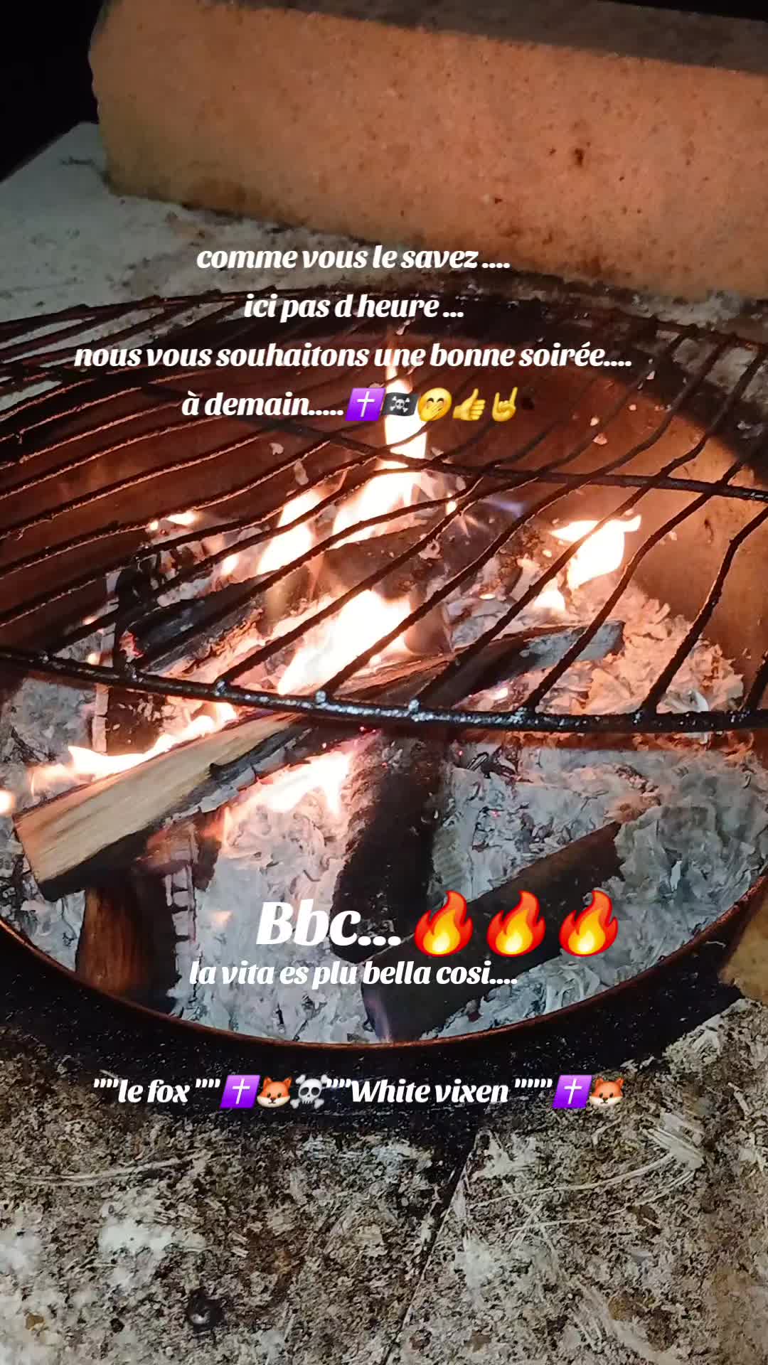 @🇫🇷Le fox✝️🦊☠️white vixen✝️