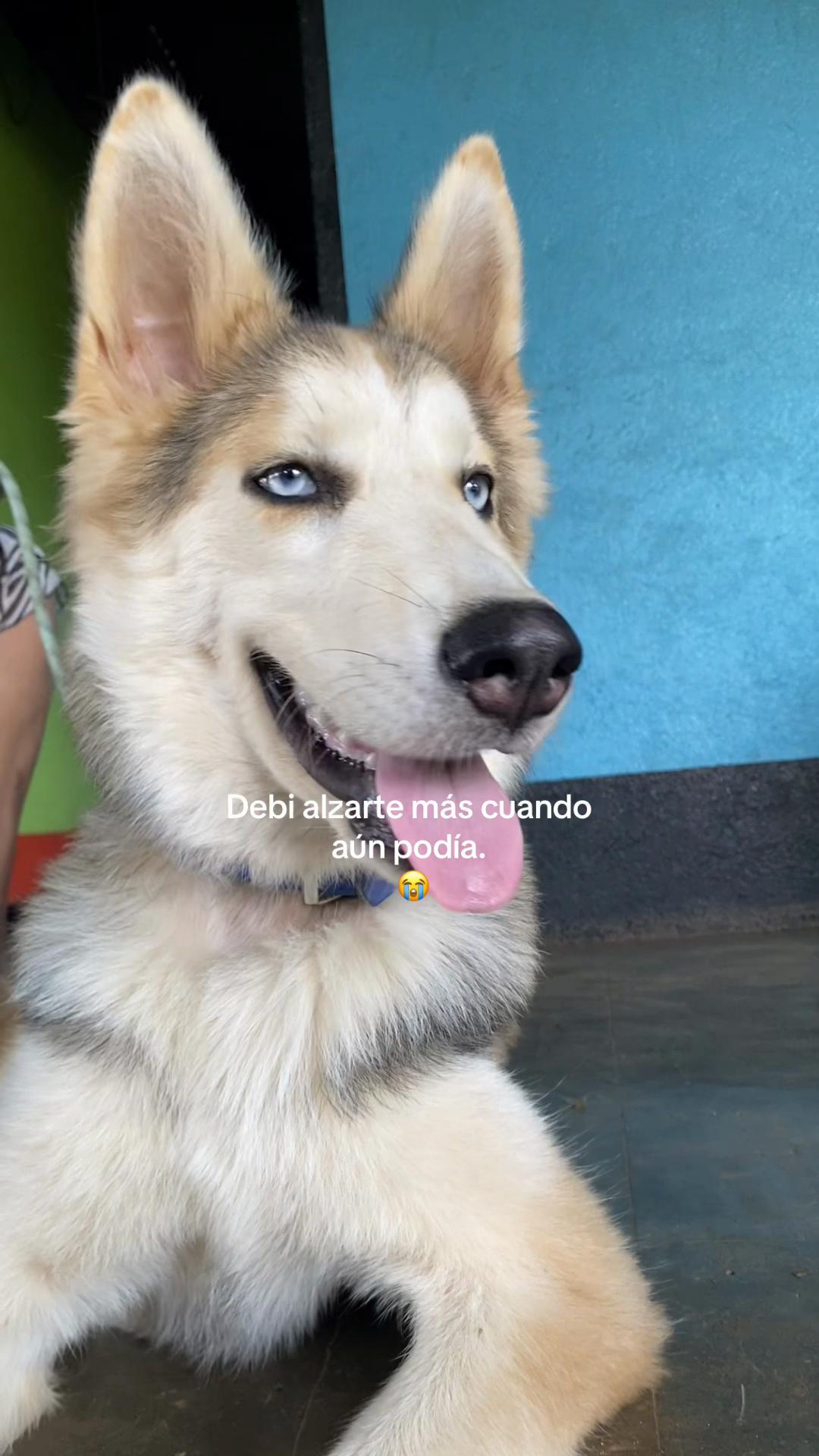 @ʲᵒˢˢ