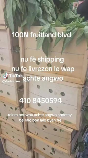 @Dadalovestore Llc