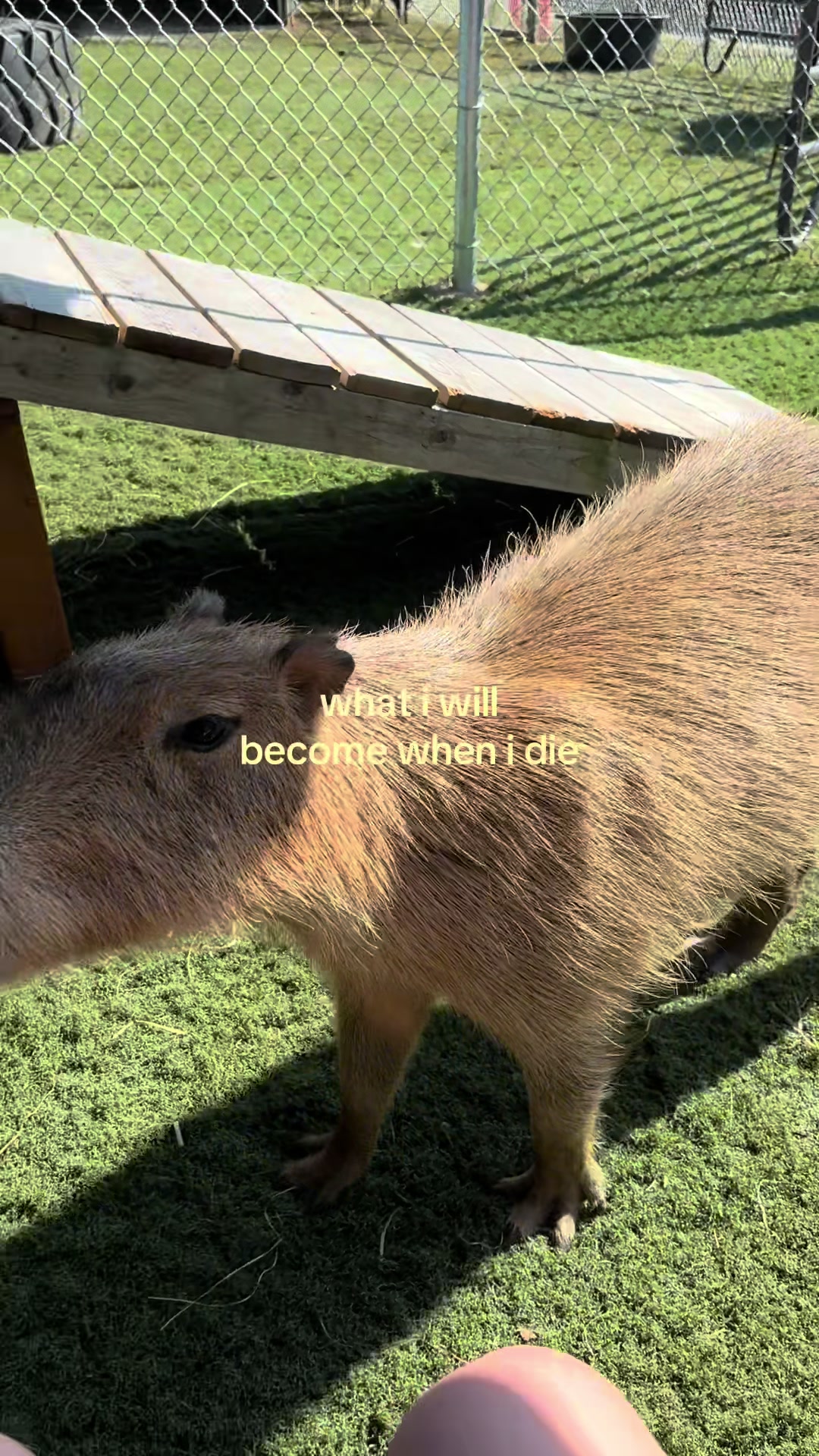 @i6767676776