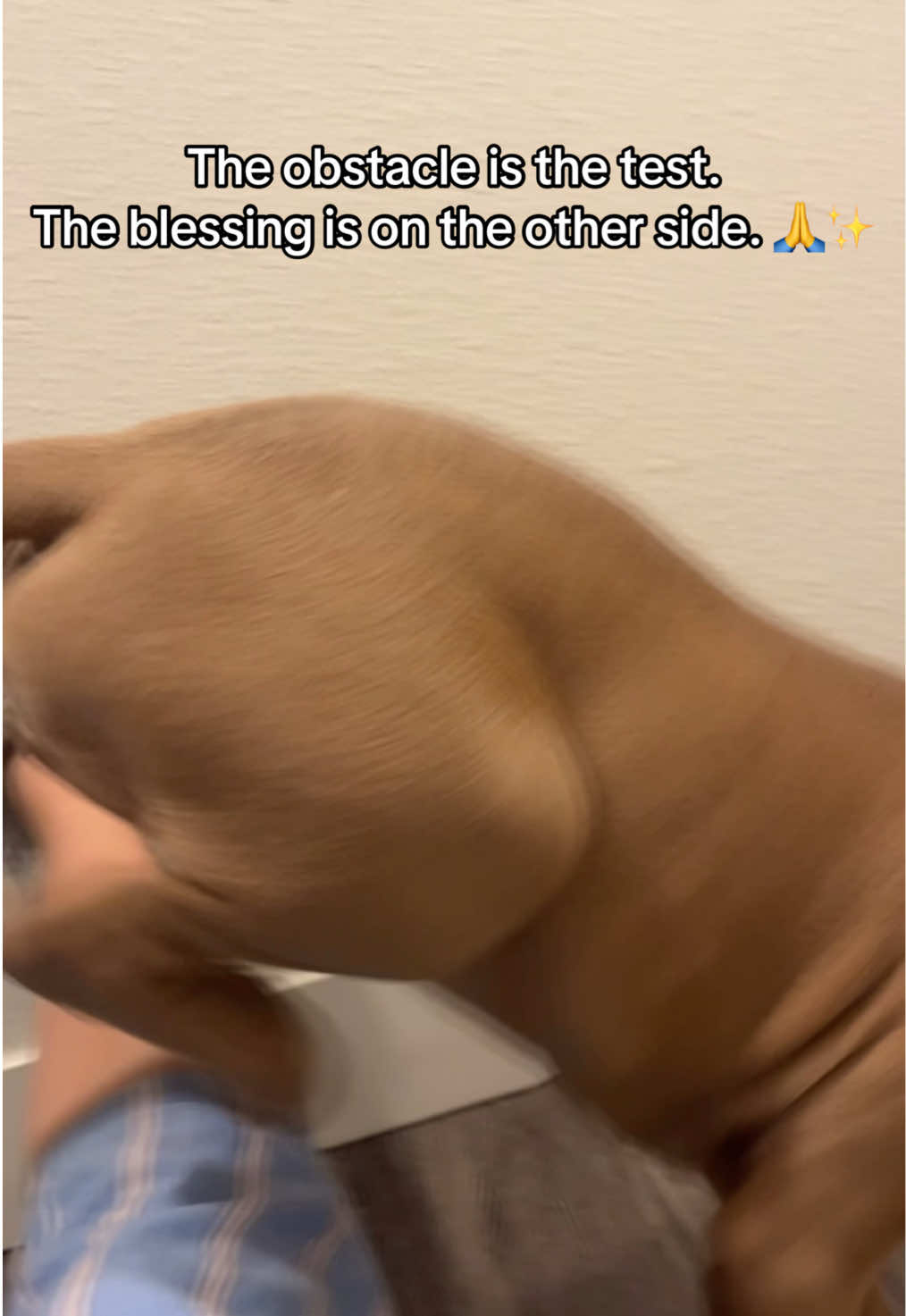 @jesusismyglowup