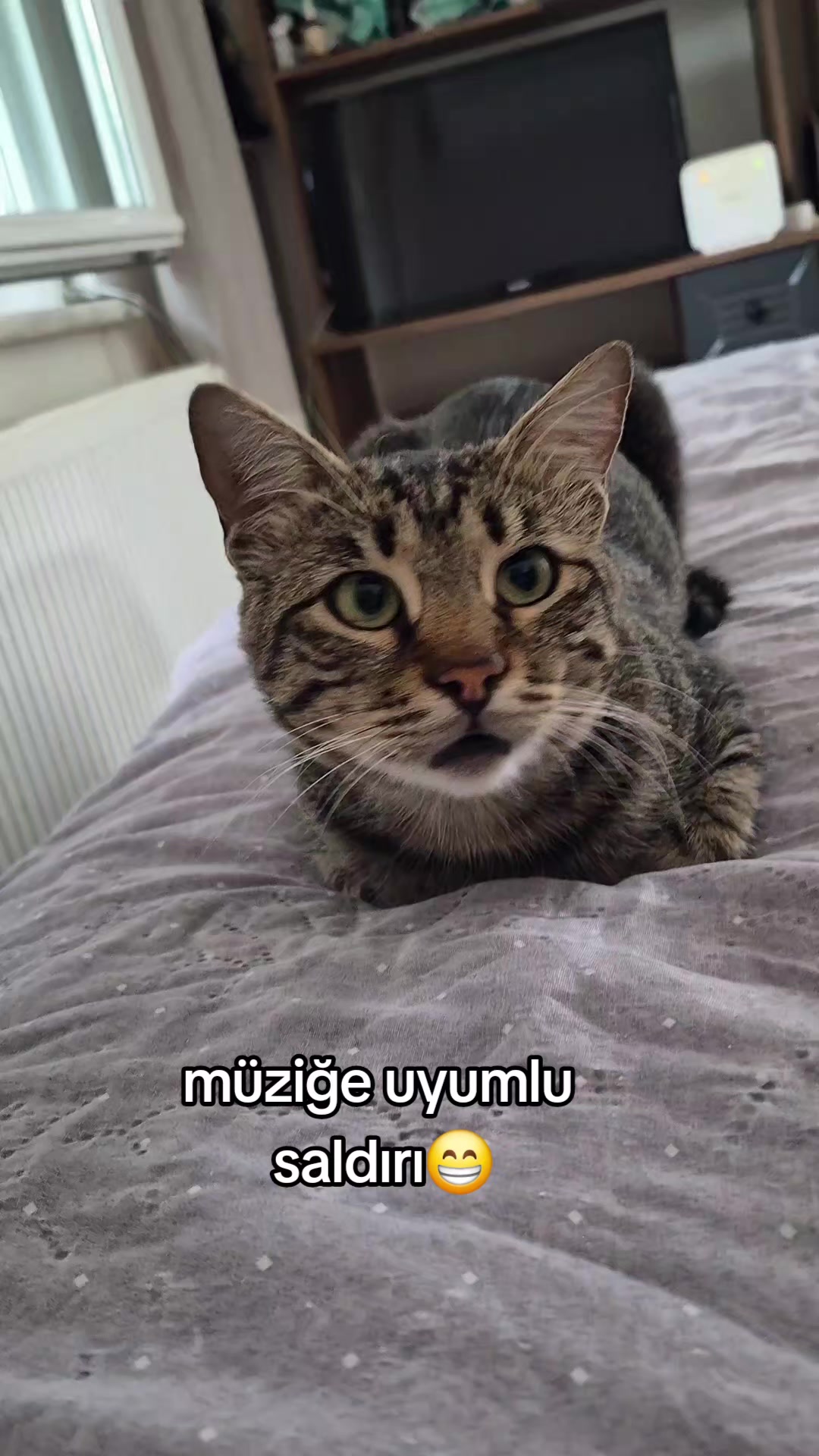 @kuzey
