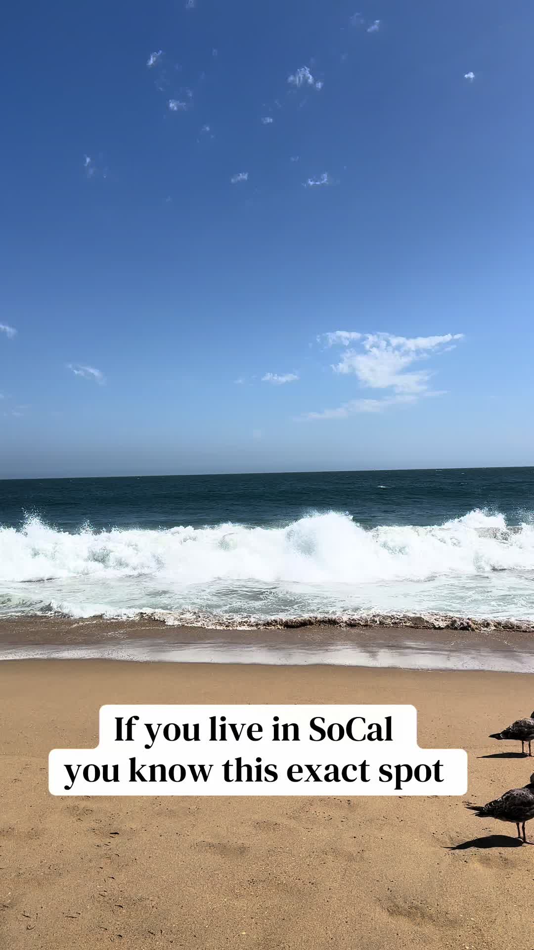 @Yoex73