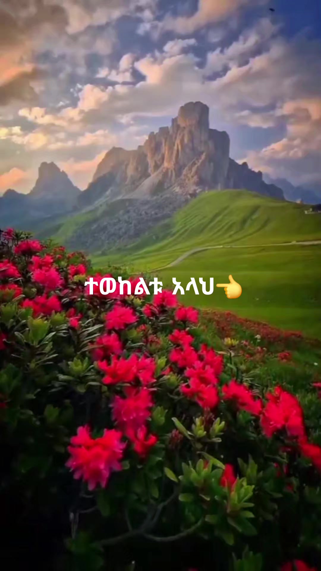 @Sinorita🧕🏿