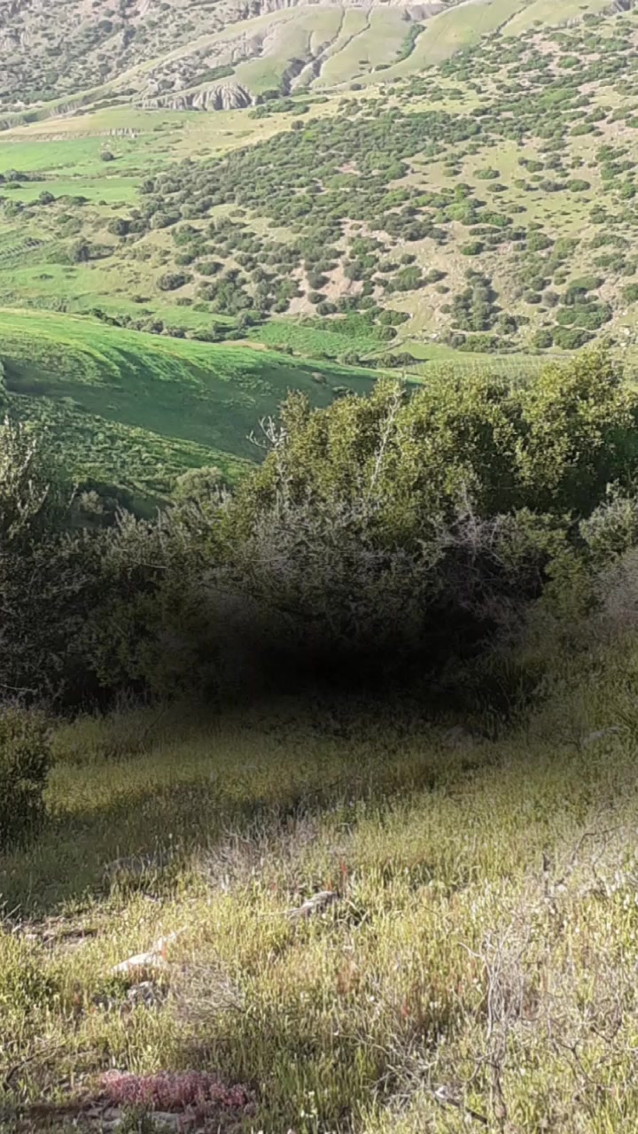 @Ñįdàł Méşşøùdü
