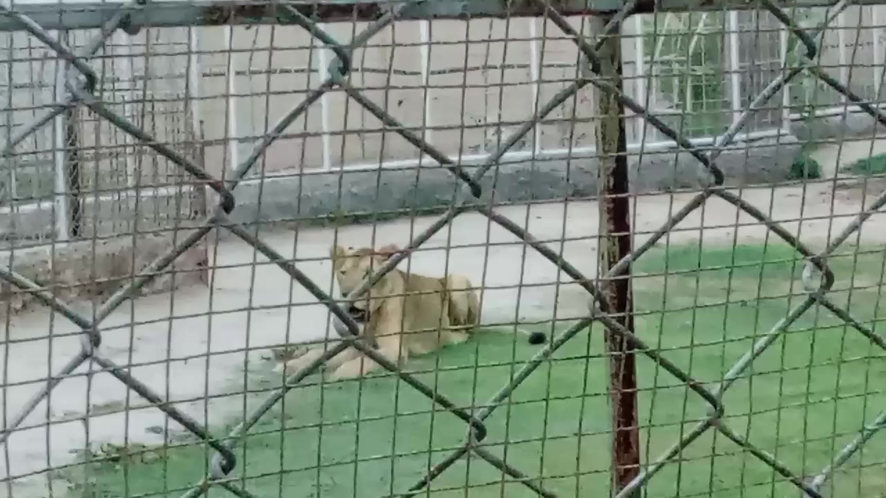@Iqbal Iqbal m
