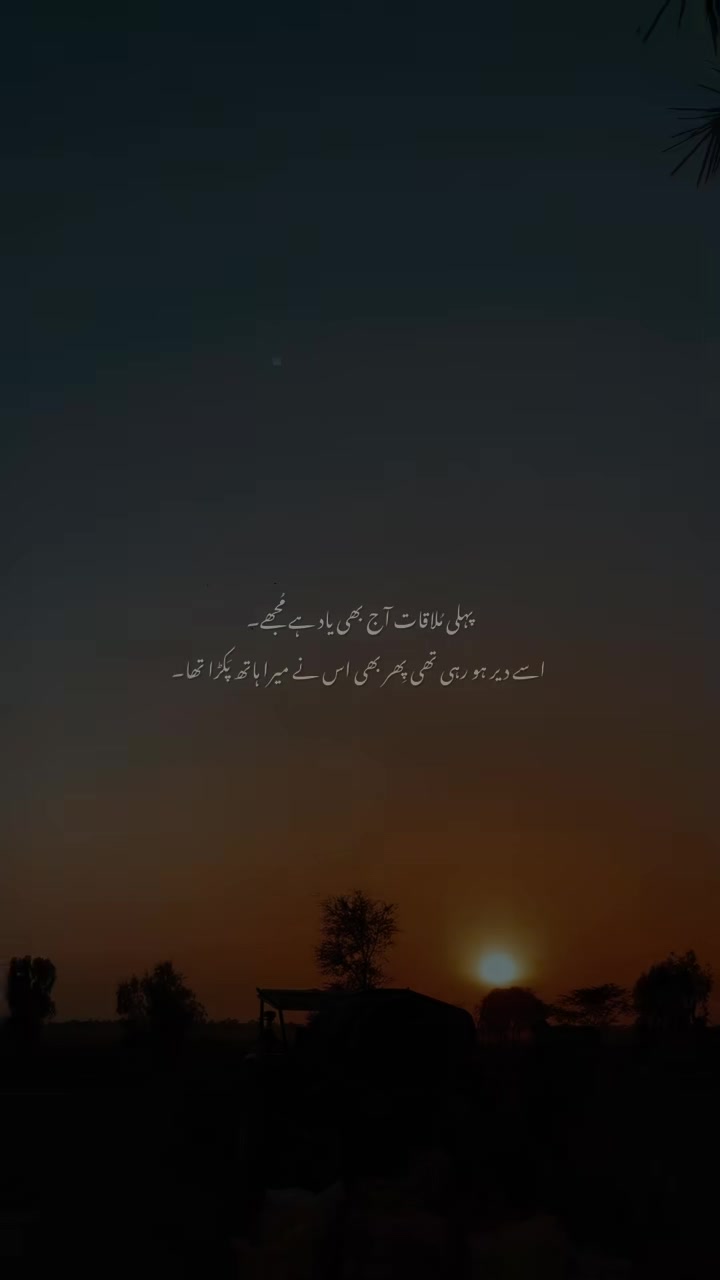 @❤️پیارے شیری✨❤️