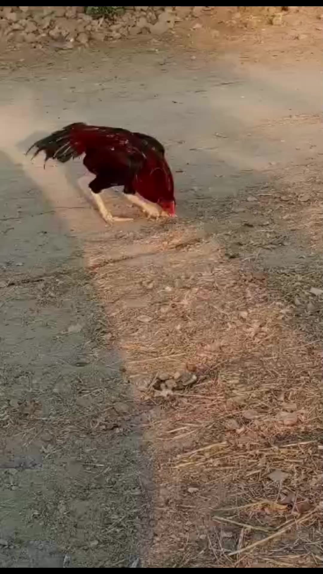 @Mian shahid ullah jan