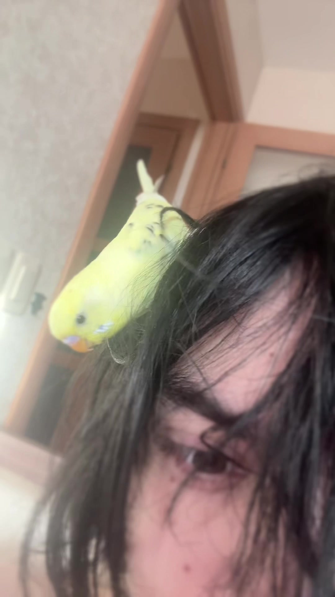 @тгк : duHaxuu