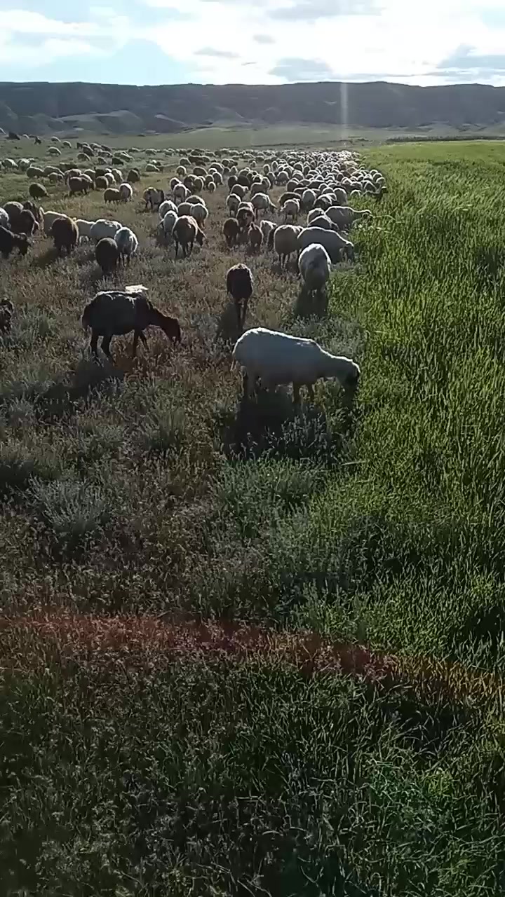 @Zahid cehrili