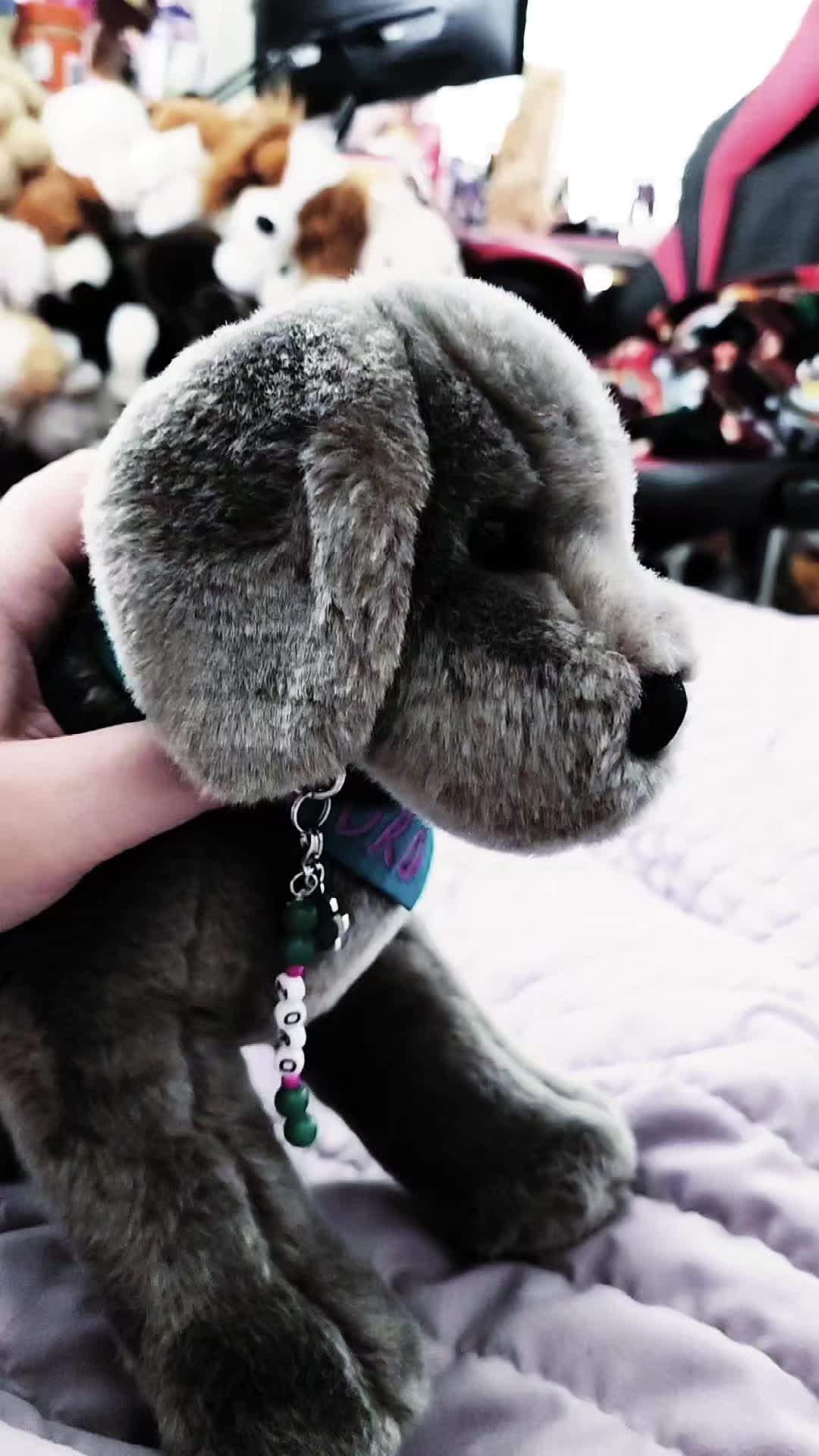 @๐ป Autistix Shiba ๐ณ๏ธ๐