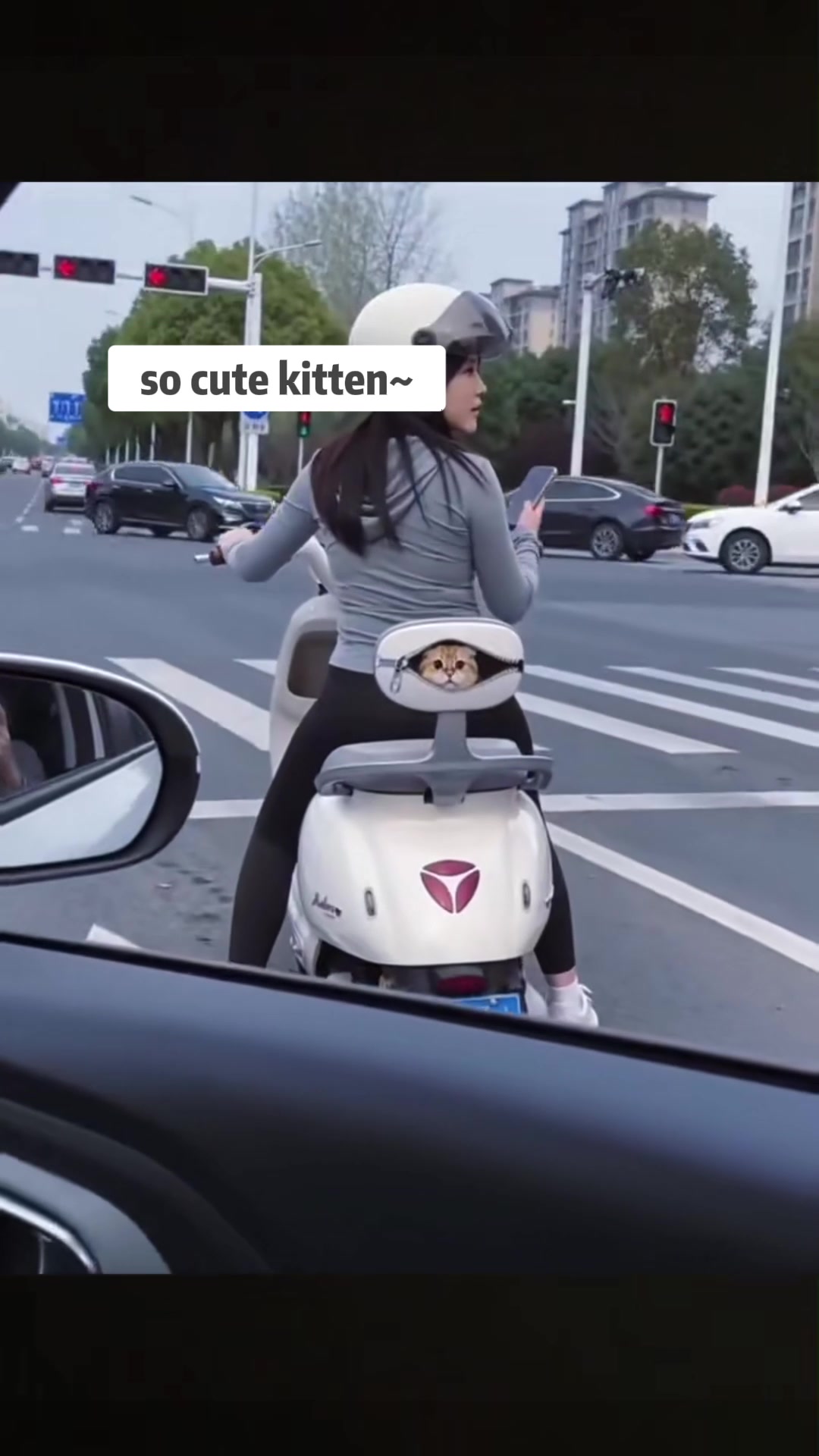 @MoewaiiCat