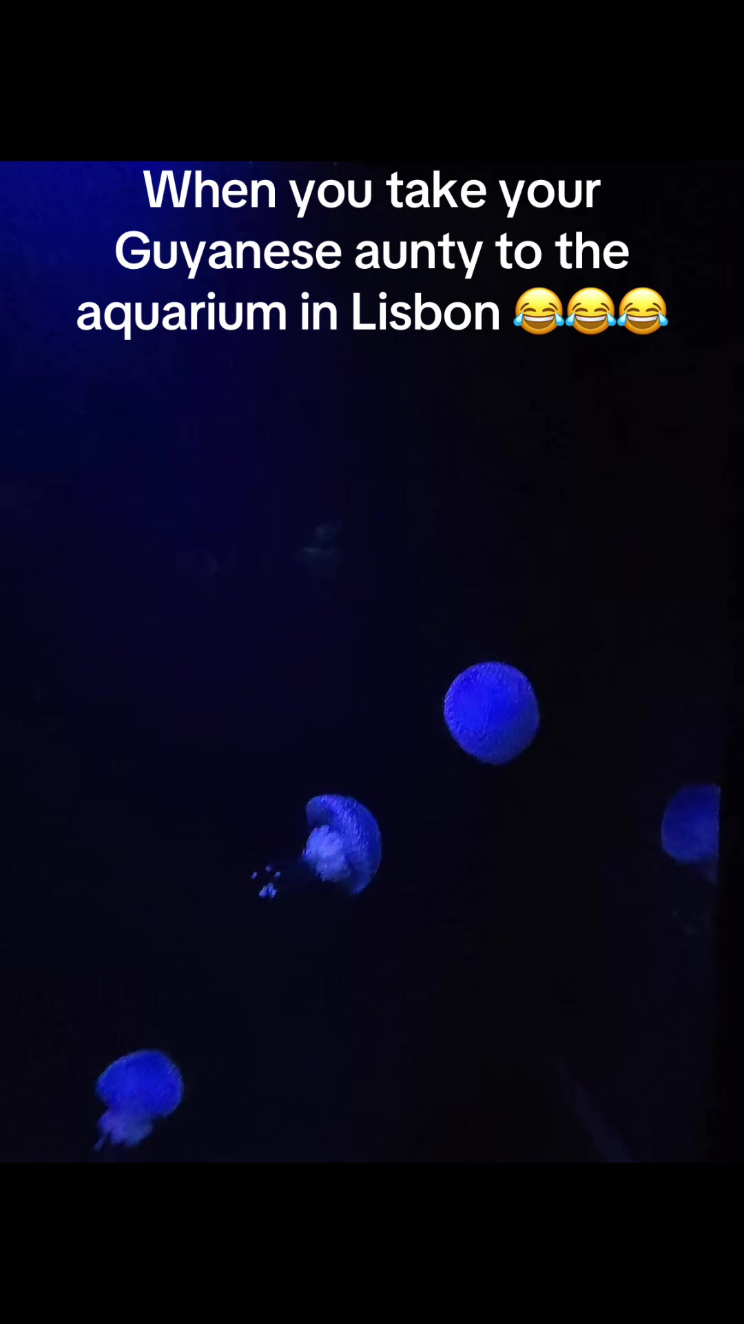 @TRIMQUEEN&reg;️