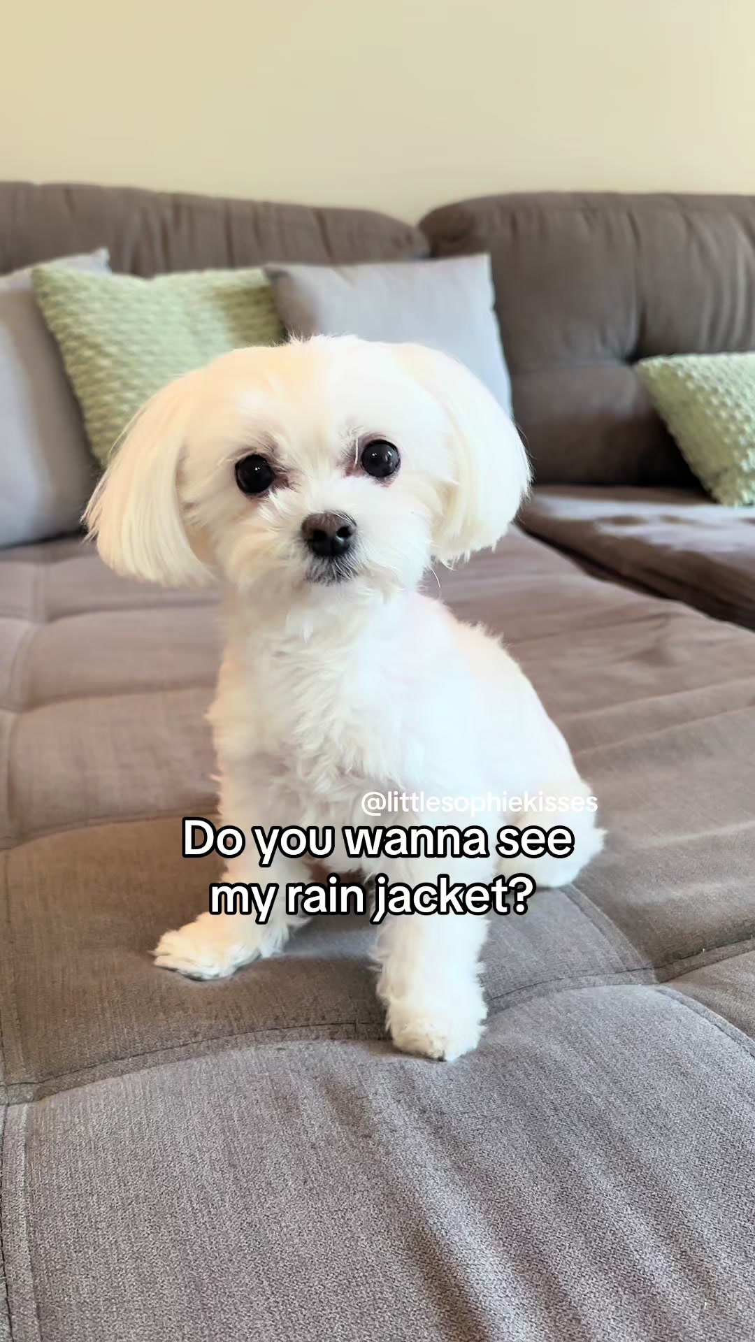 @Little Sophie kisses
